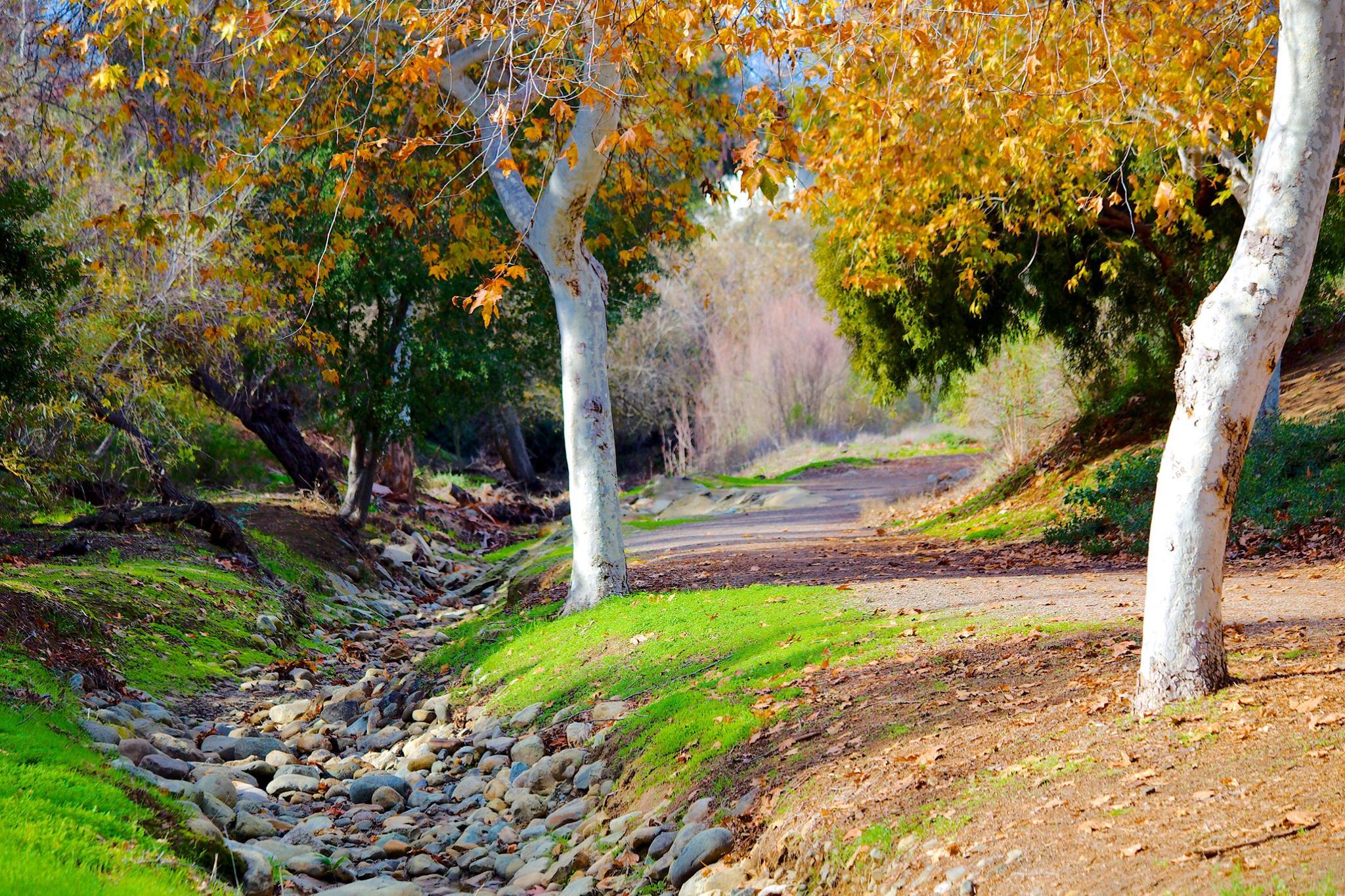 Mission Oaks Park - Camarillo, CA