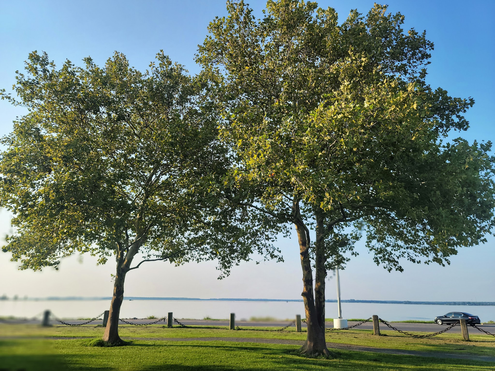 Gerry Boyle Park at Great Marsh Boat Launch - Cambridge, MD