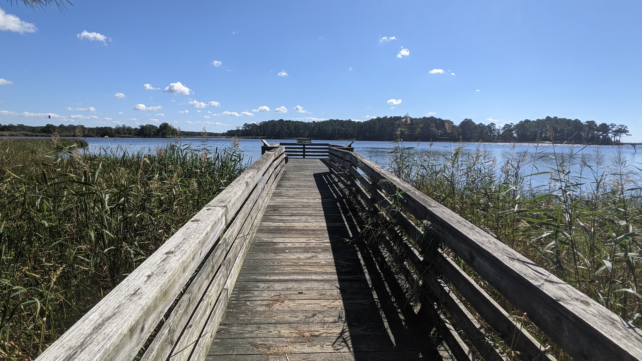 Marsh Edge Trail - Cambridge, MD