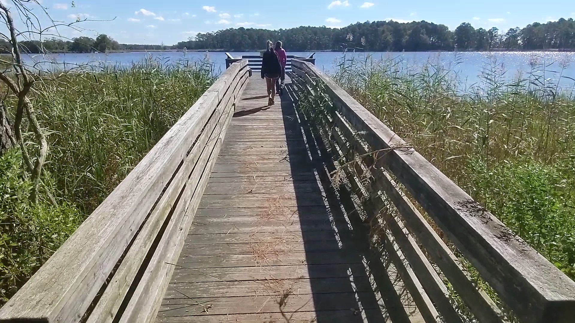 Marsh Edge Trail - Cambridge, MD