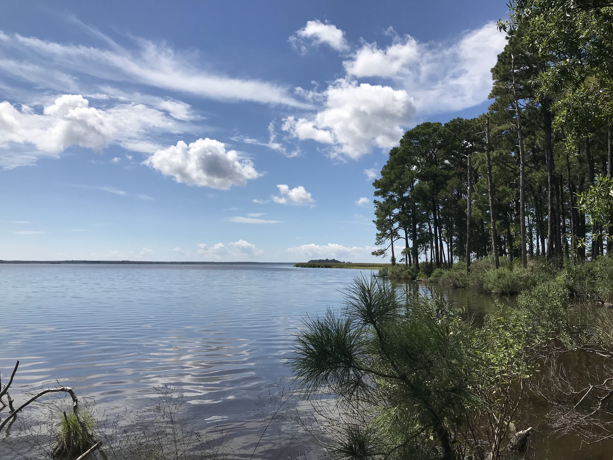 Marsh Edge Trail - Cambridge, MD