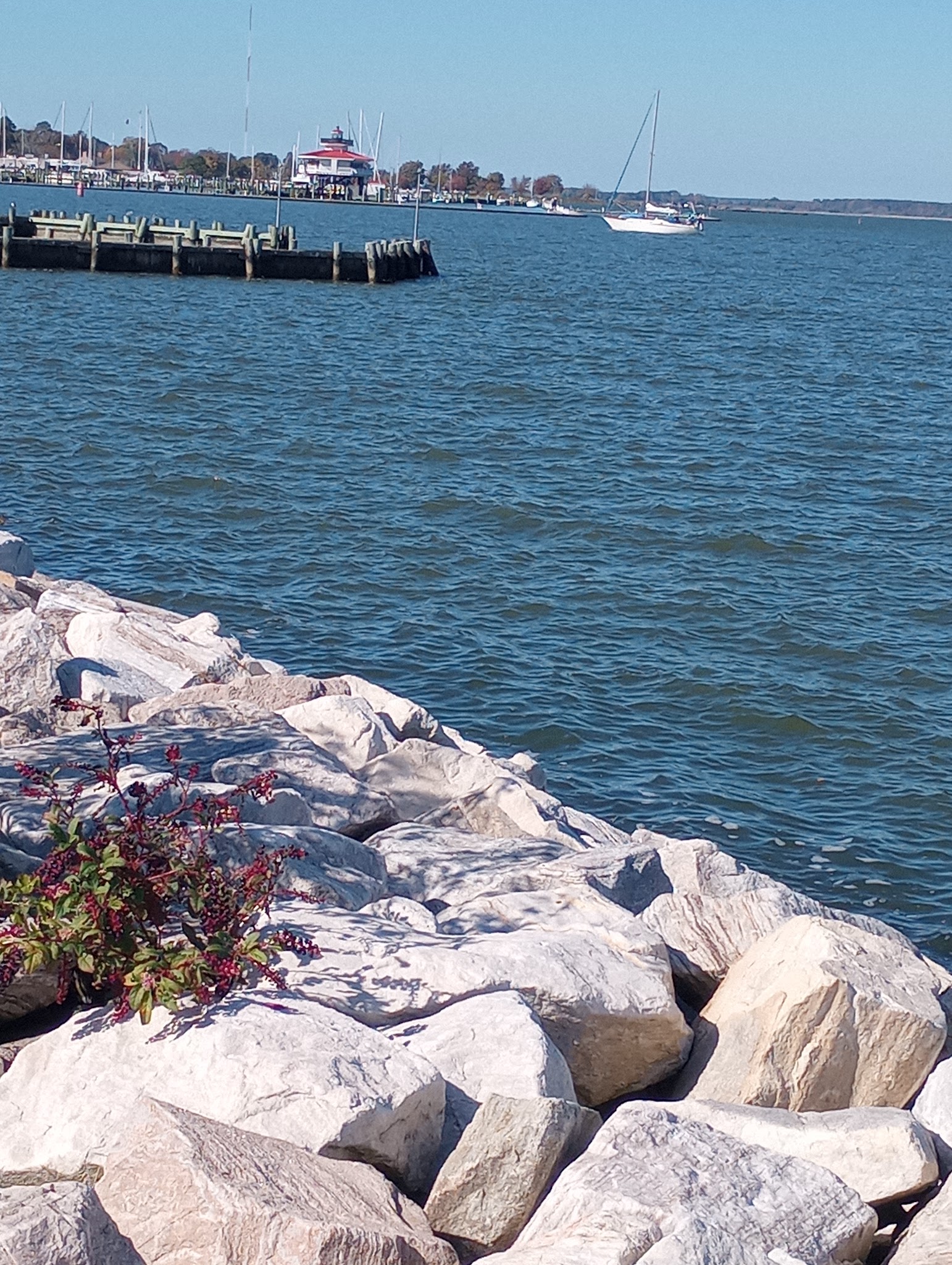Sailwinds Playground - Cambridge, MD