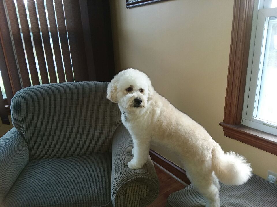 Yarn & Bone Pet Supply Company - Camden, DE