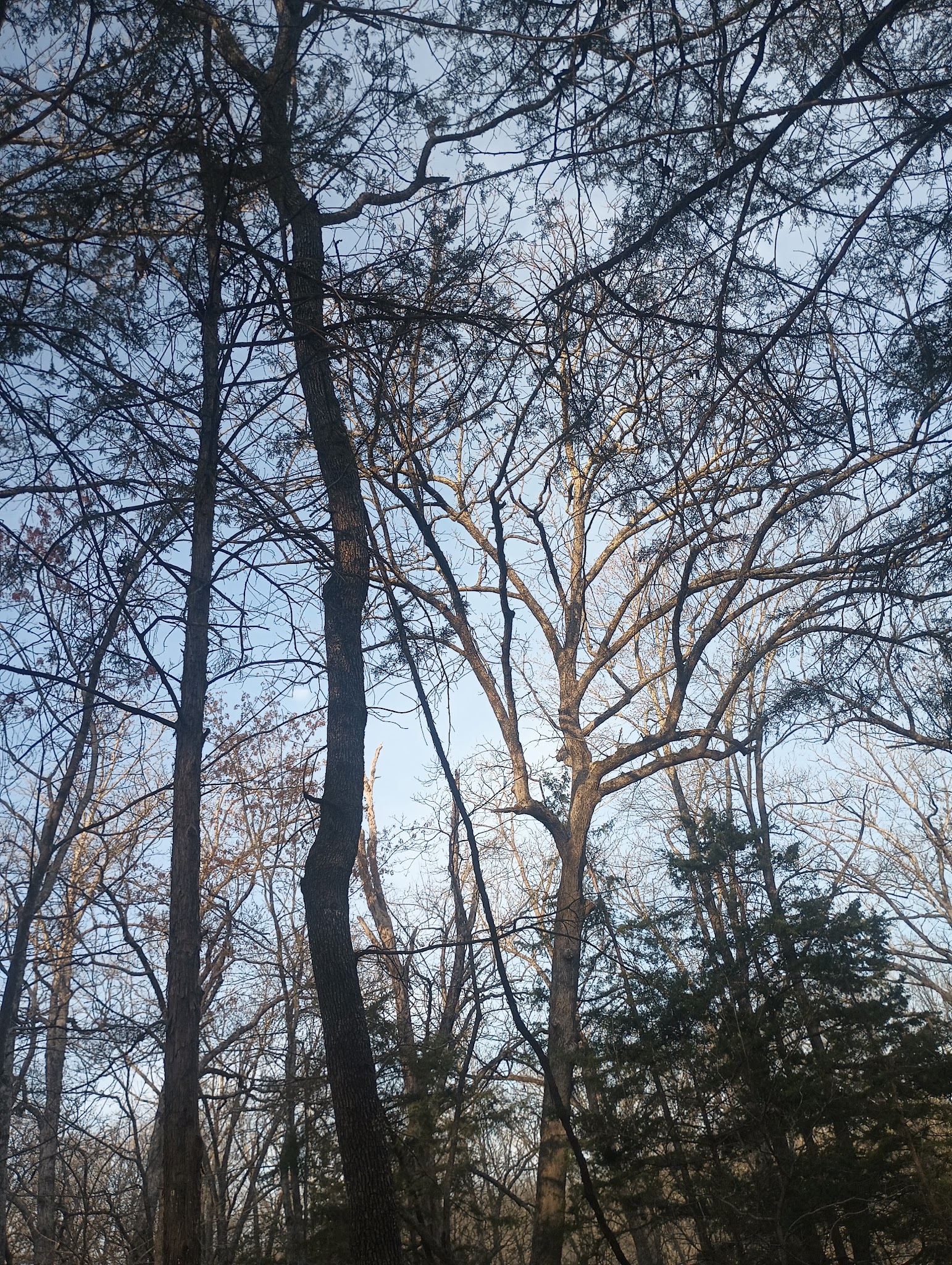 Camdenton Park - Camdenton, MO