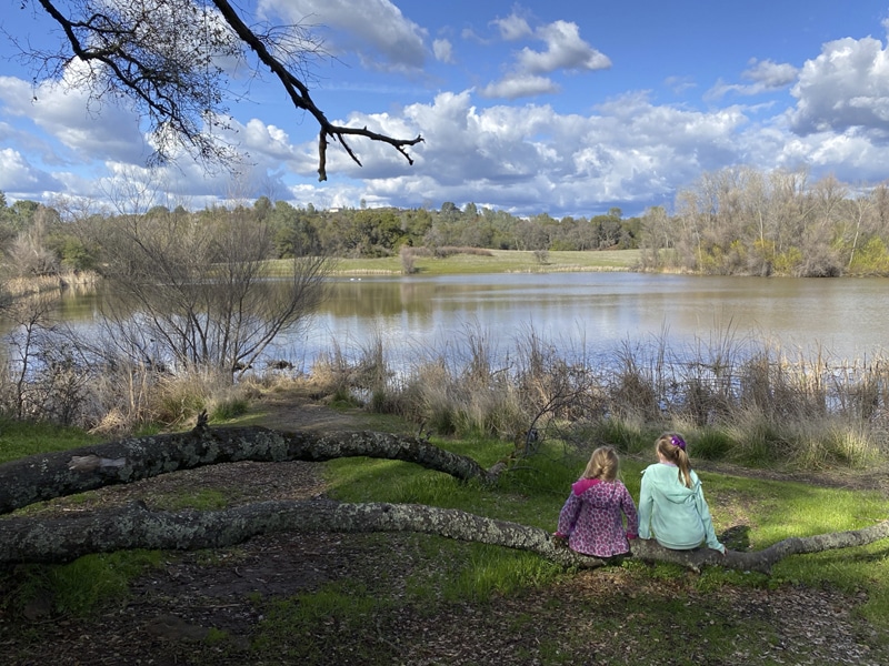 Rasmussen Pond - Cameron Park, CA