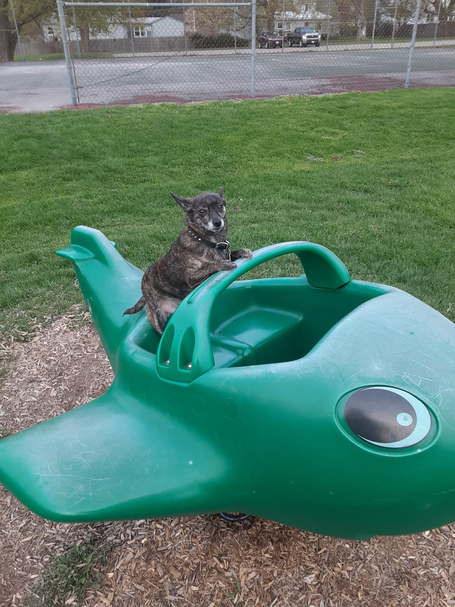 Munro Park - Camillus, NY