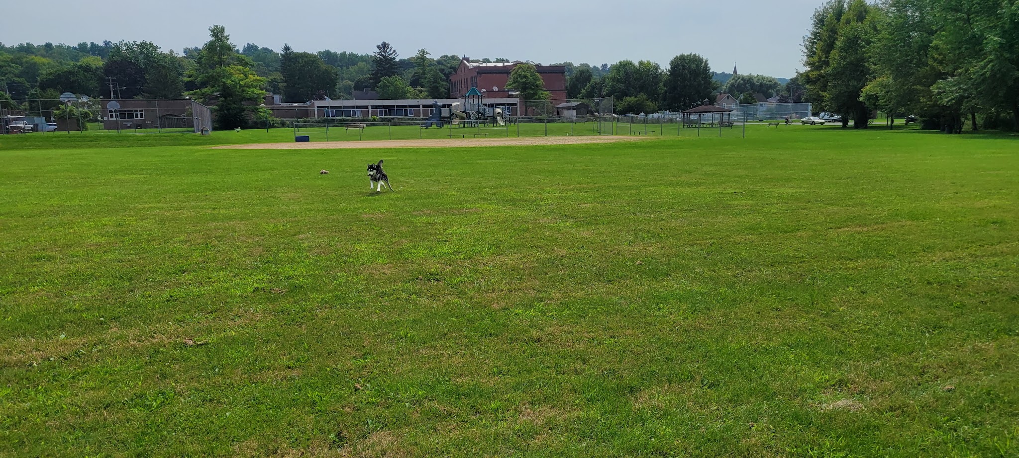 Munro Park - Camillus, NY