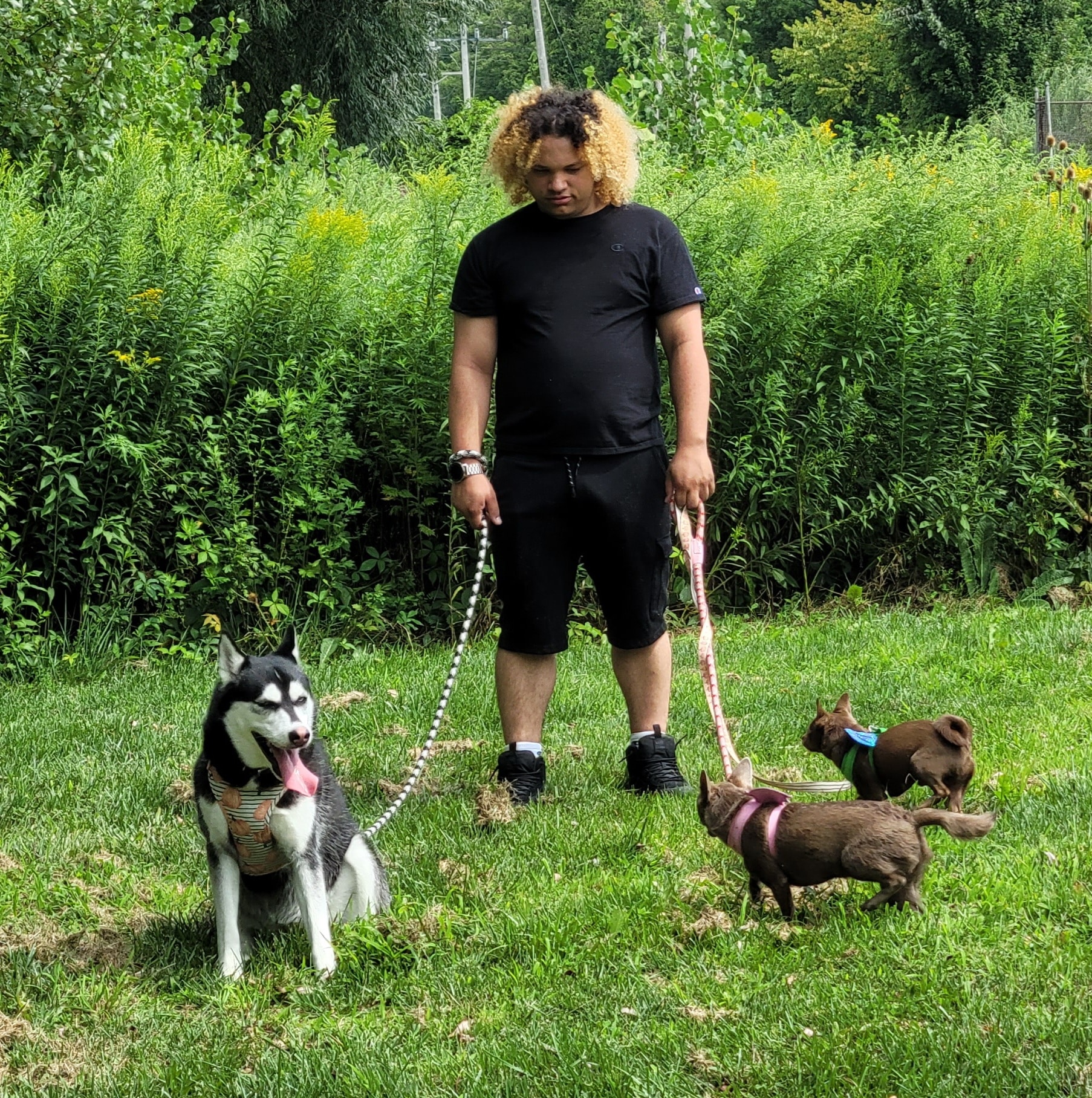 Munro Park - Camillus, NY