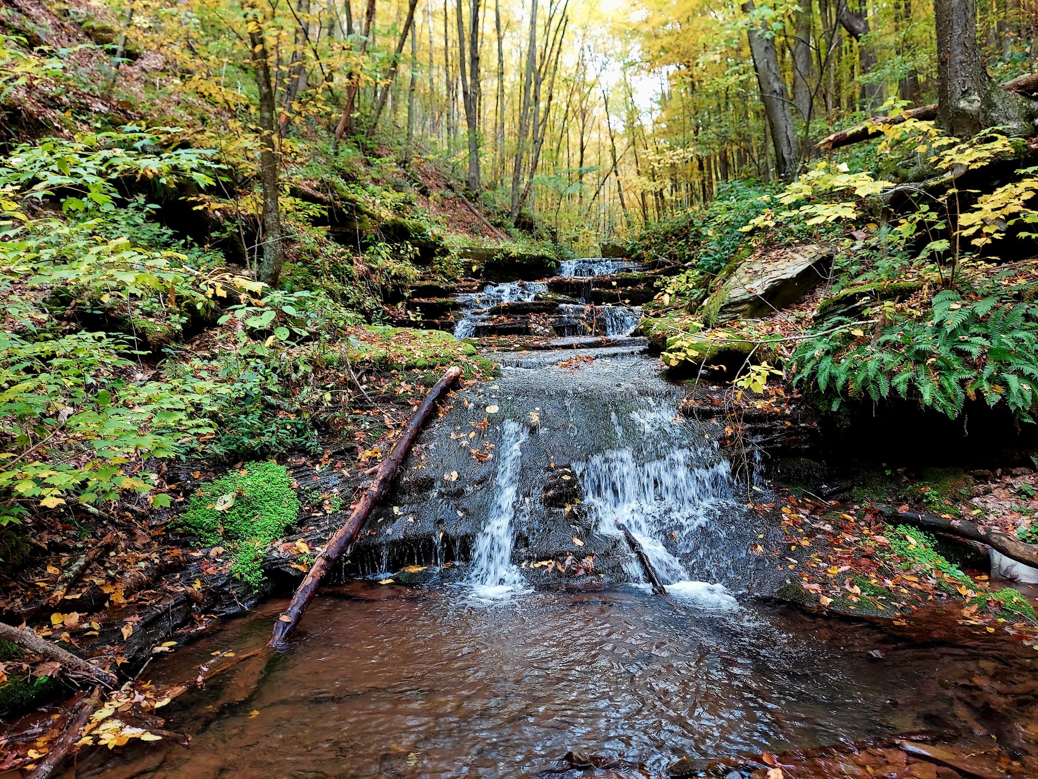 Golden Eagle Trail - Cammal, PA