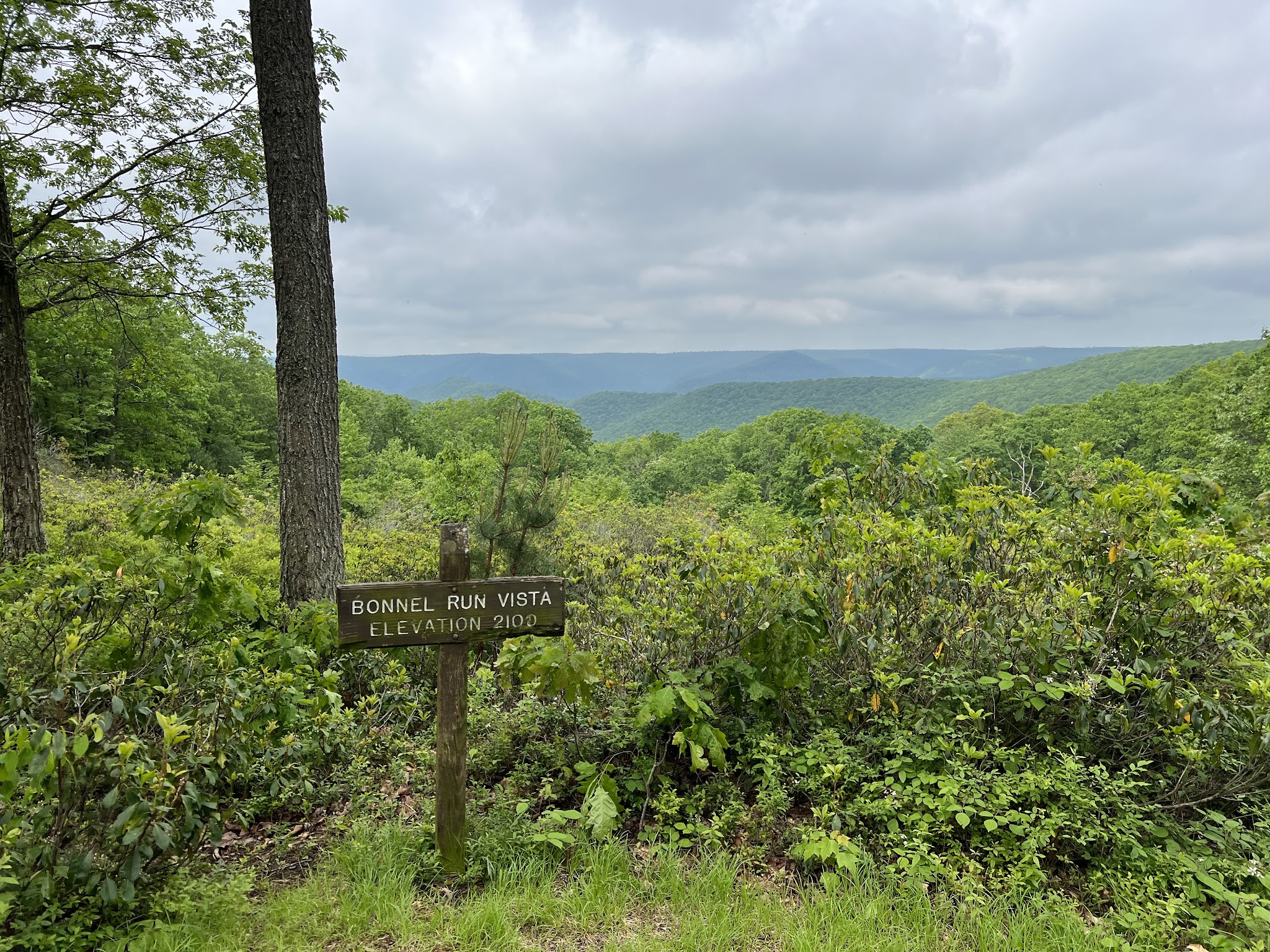 Golden Eagle Trail - Cammal, PA