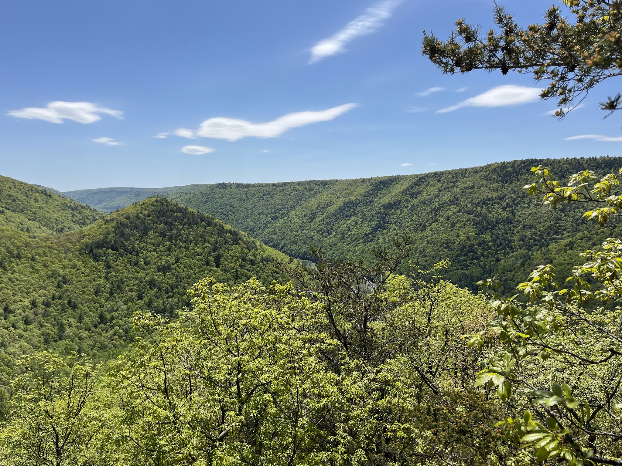 Golden Eagle Trail - Cammal, PA