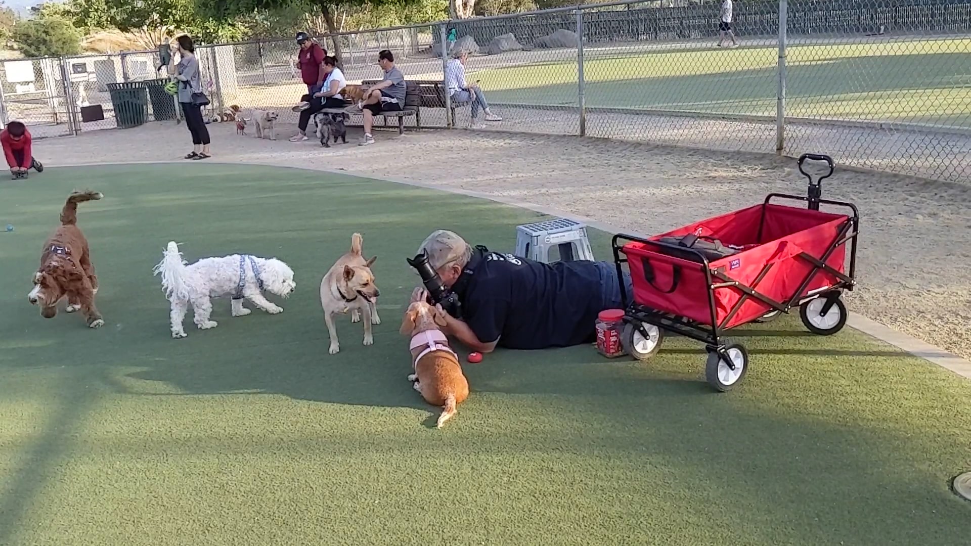 Dog Park | Los Gatos Creek - Campbell, CA