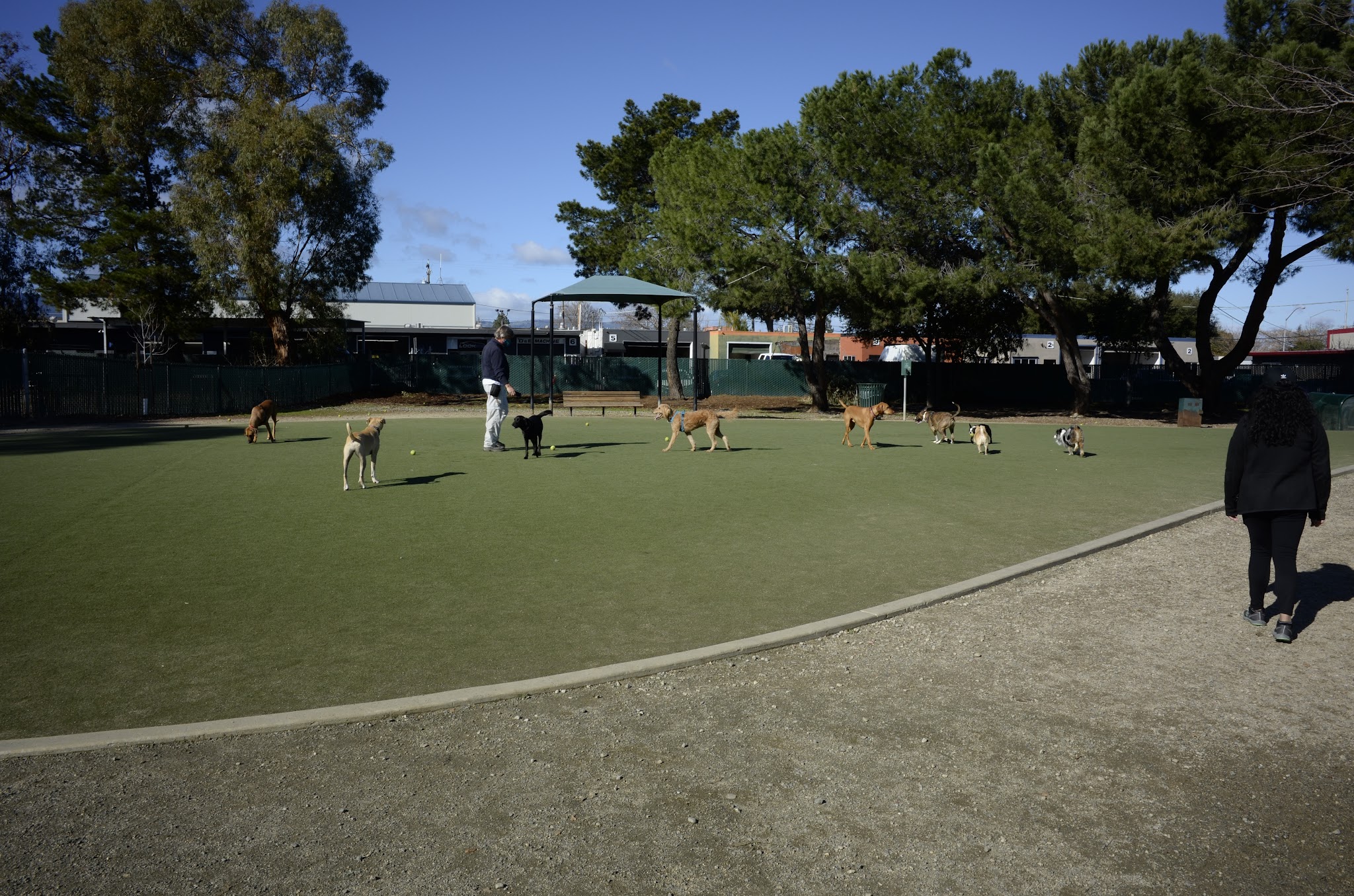 Dog Park | Los Gatos Creek - Campbell, CA
