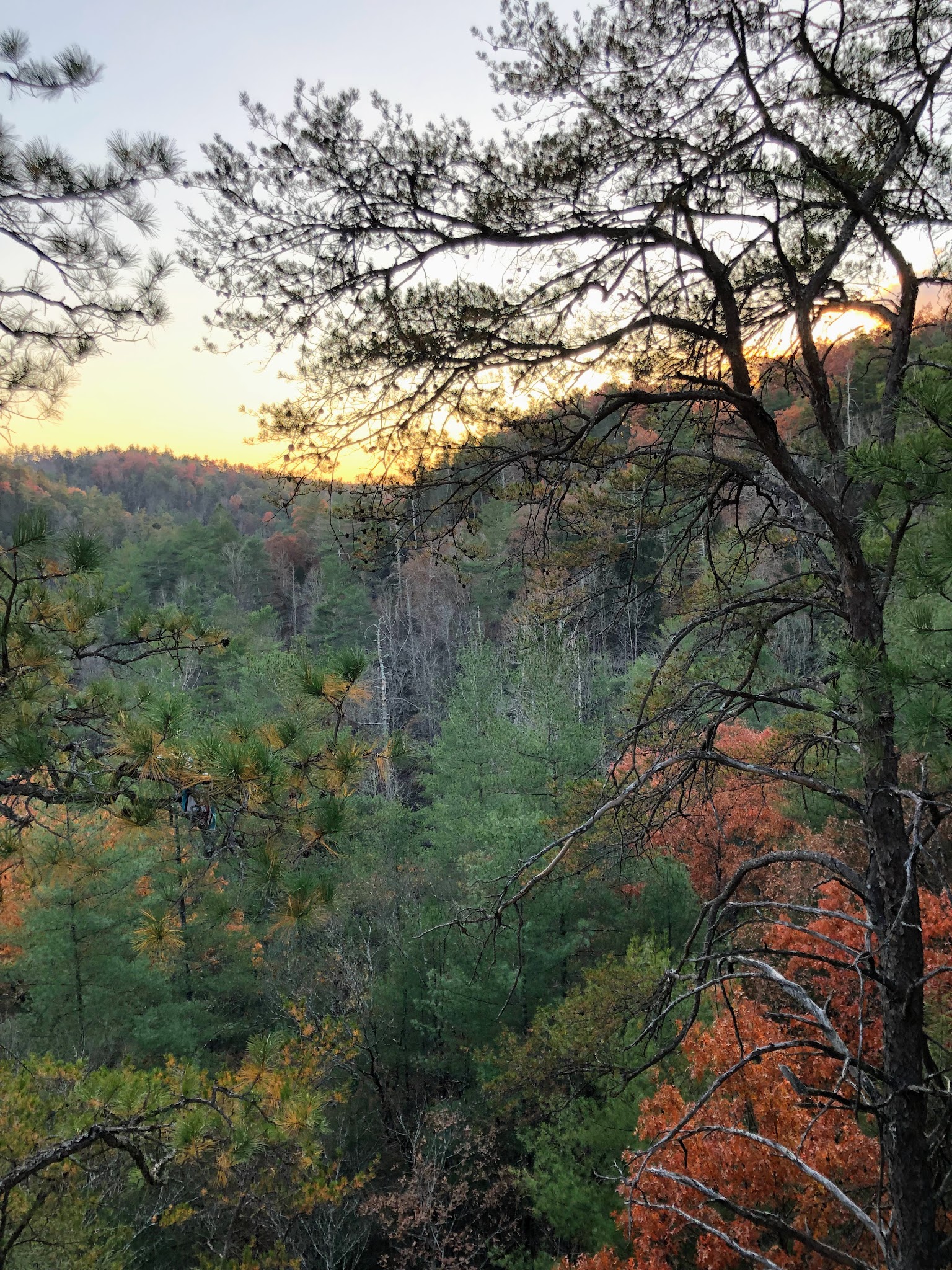 Creation Falls - Campton, KY