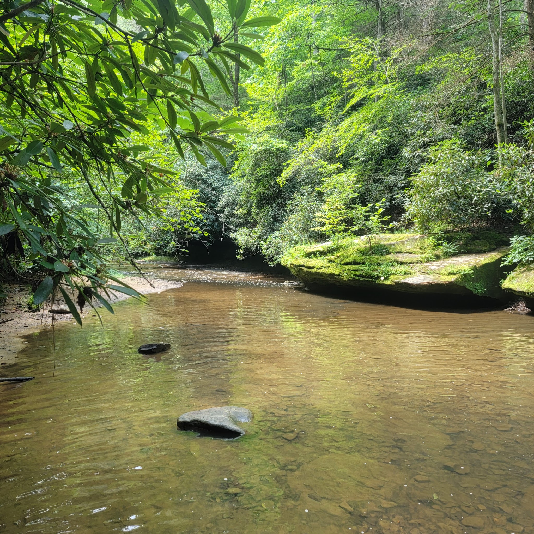 Creation Falls - Campton, KY