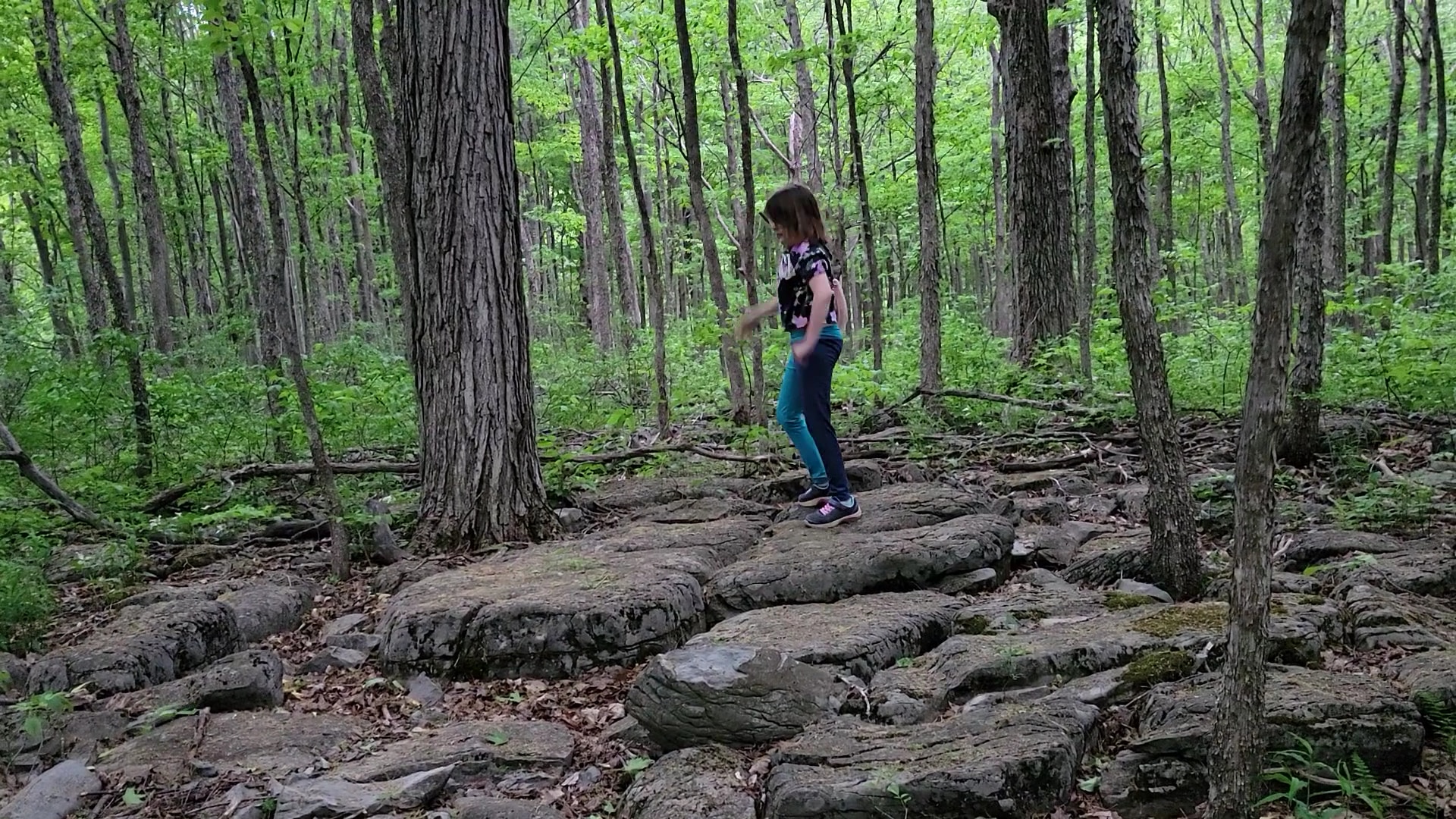 Oxbow Falls Park - Canastota, NY