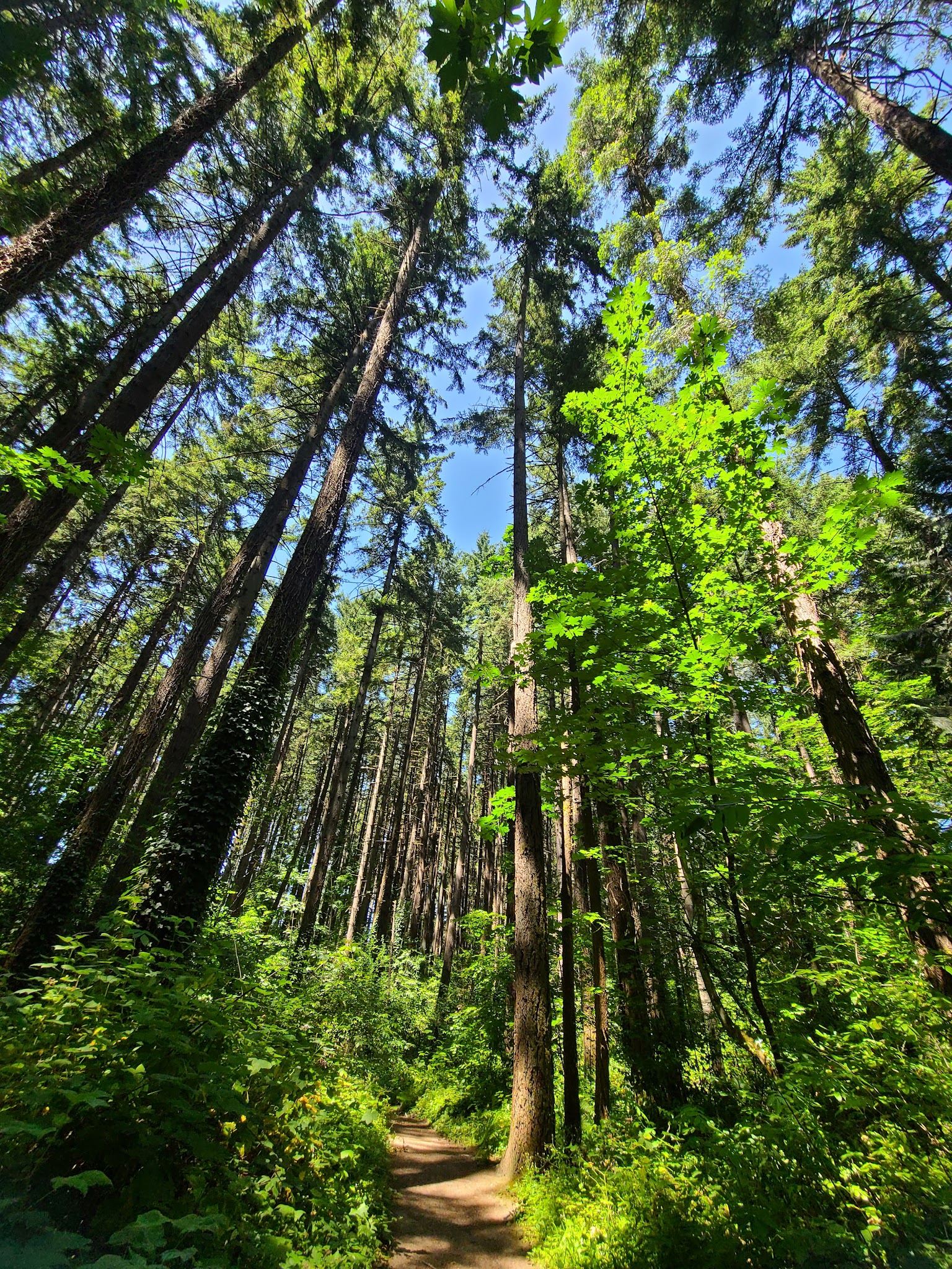 Eco Park - Canby, OR