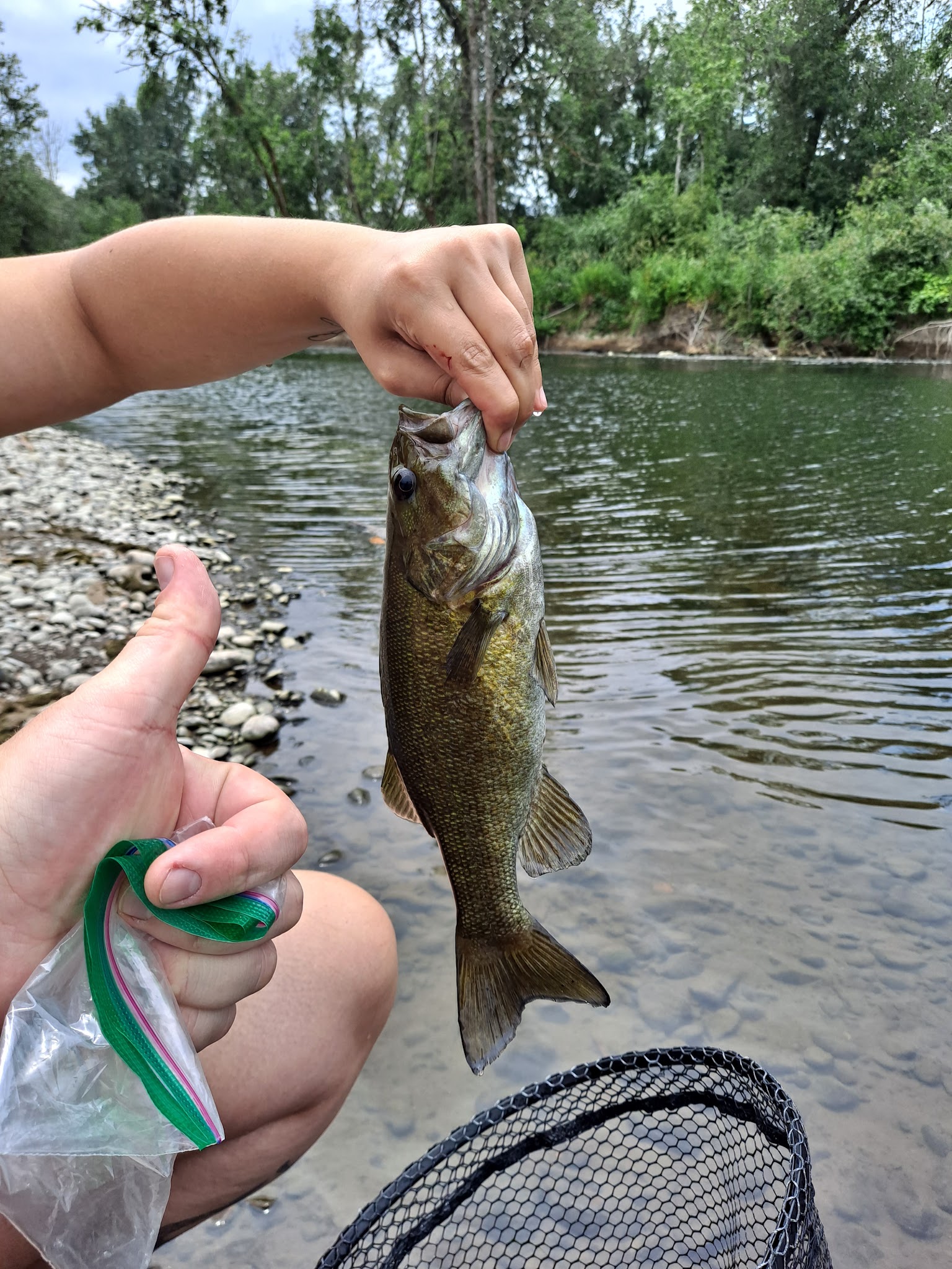 Boat Ramp, Molalla River State Park - Canby, OR