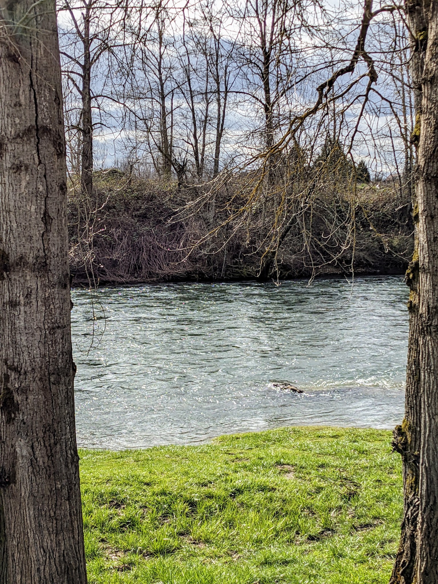 Canby Community (River) Park - Canby, OR