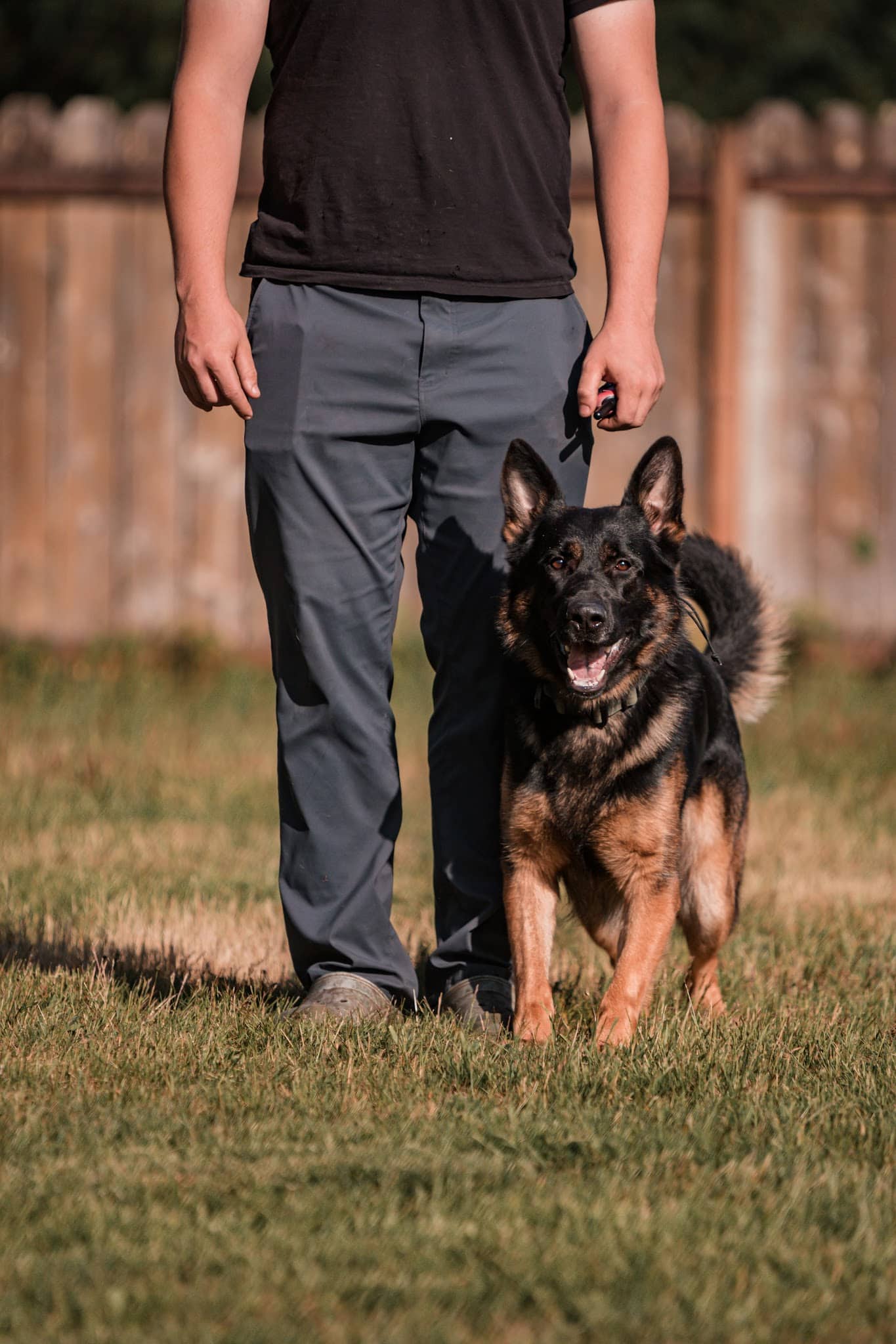 Huffman K9 Obedience - Canby, OR