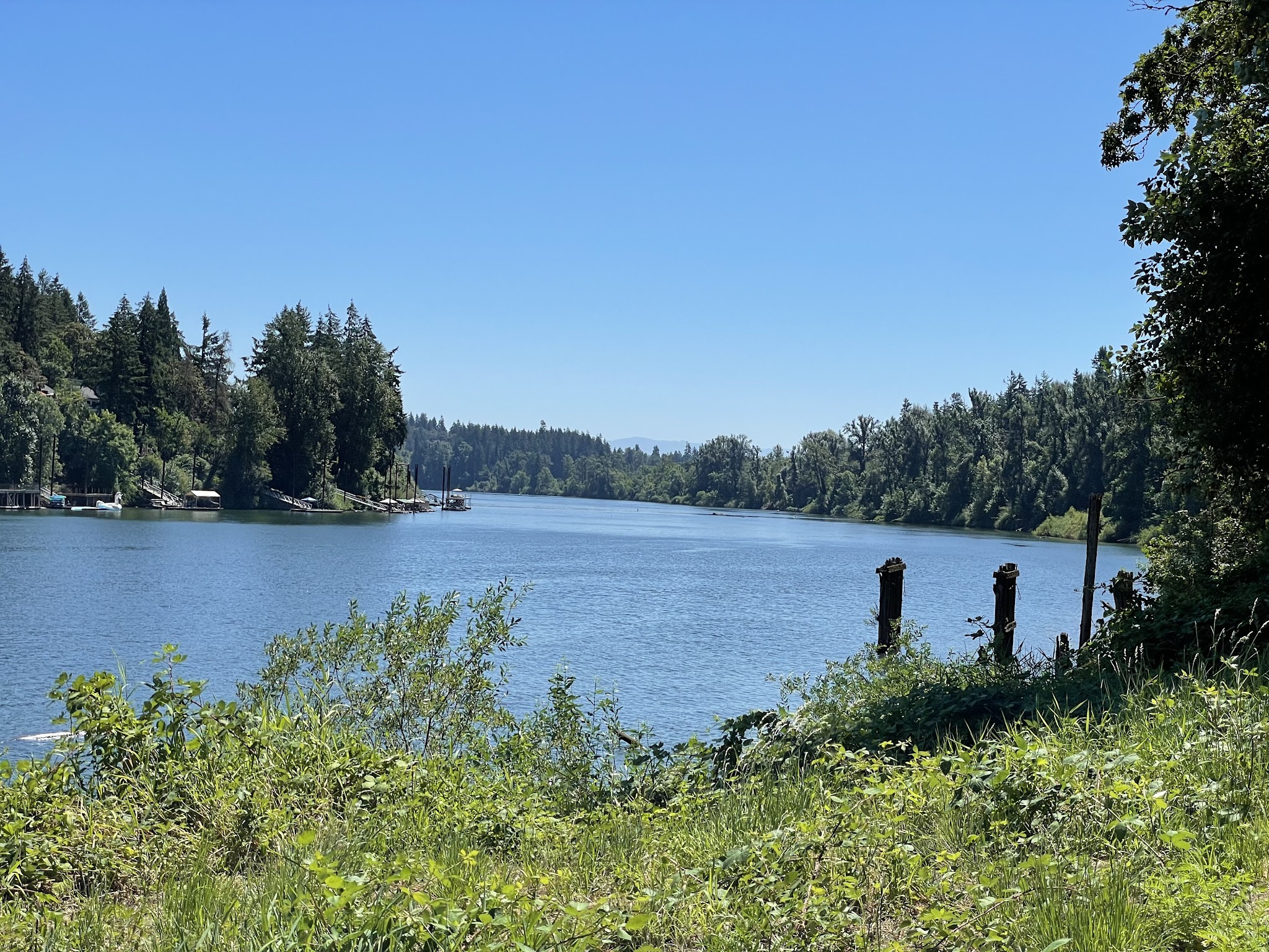Logging Road Trailhead - Canby, OR
