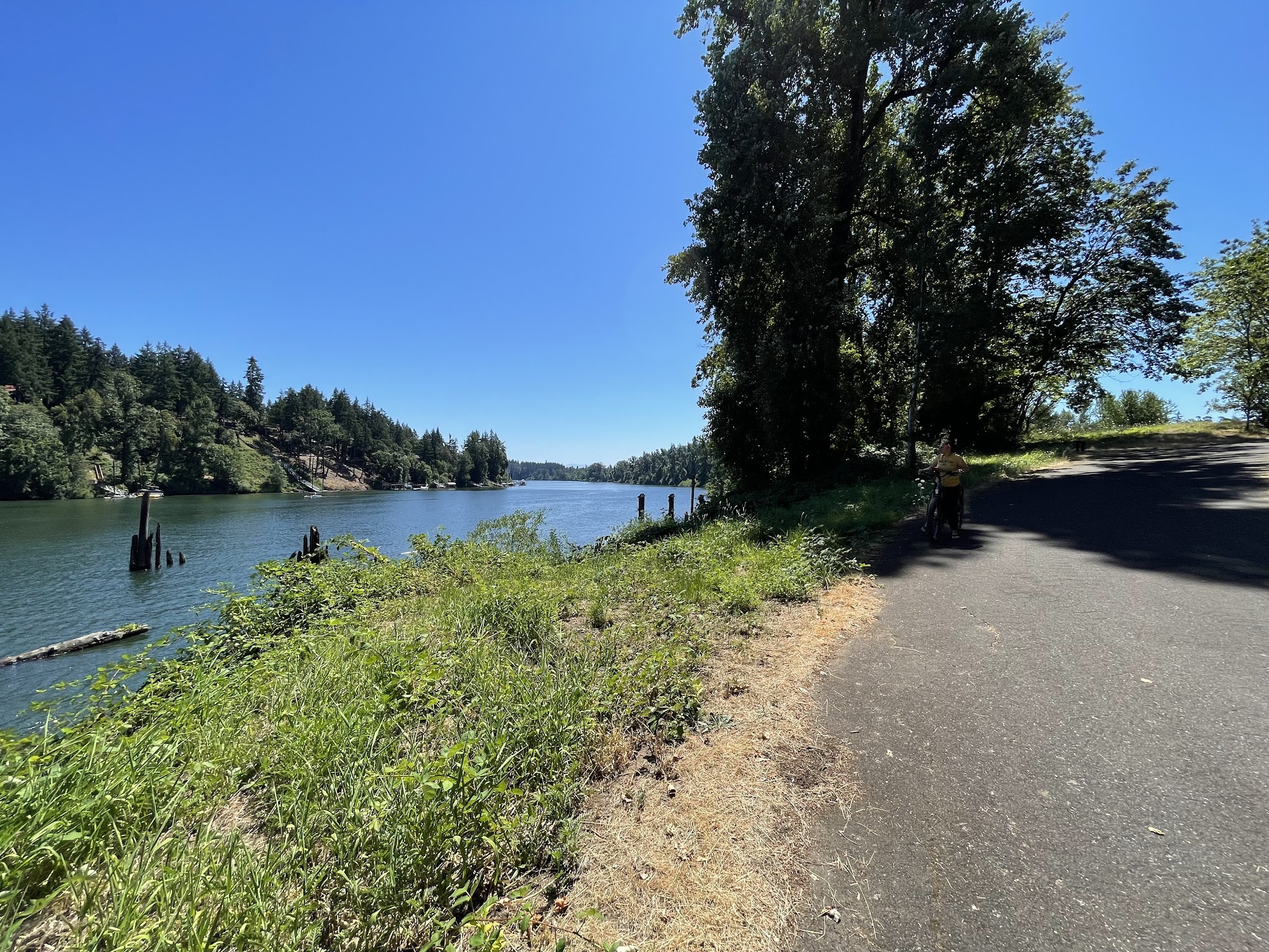 Logging Road Trailhead - Canby, OR