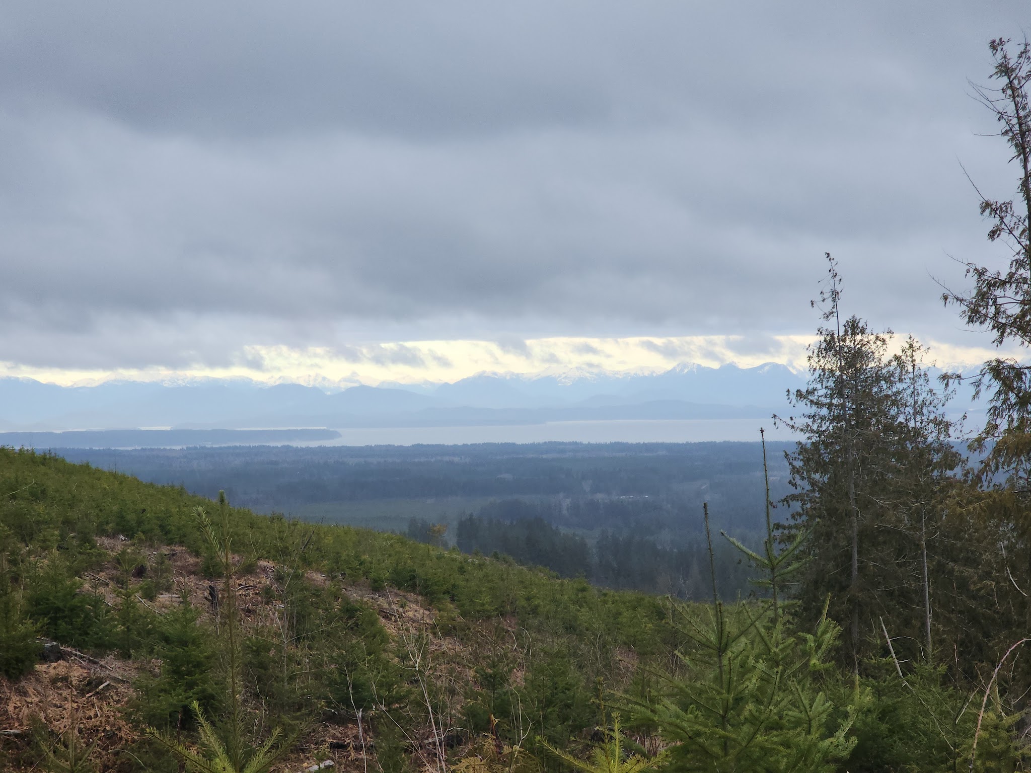 Logging Road Trailhead - Canby, OR