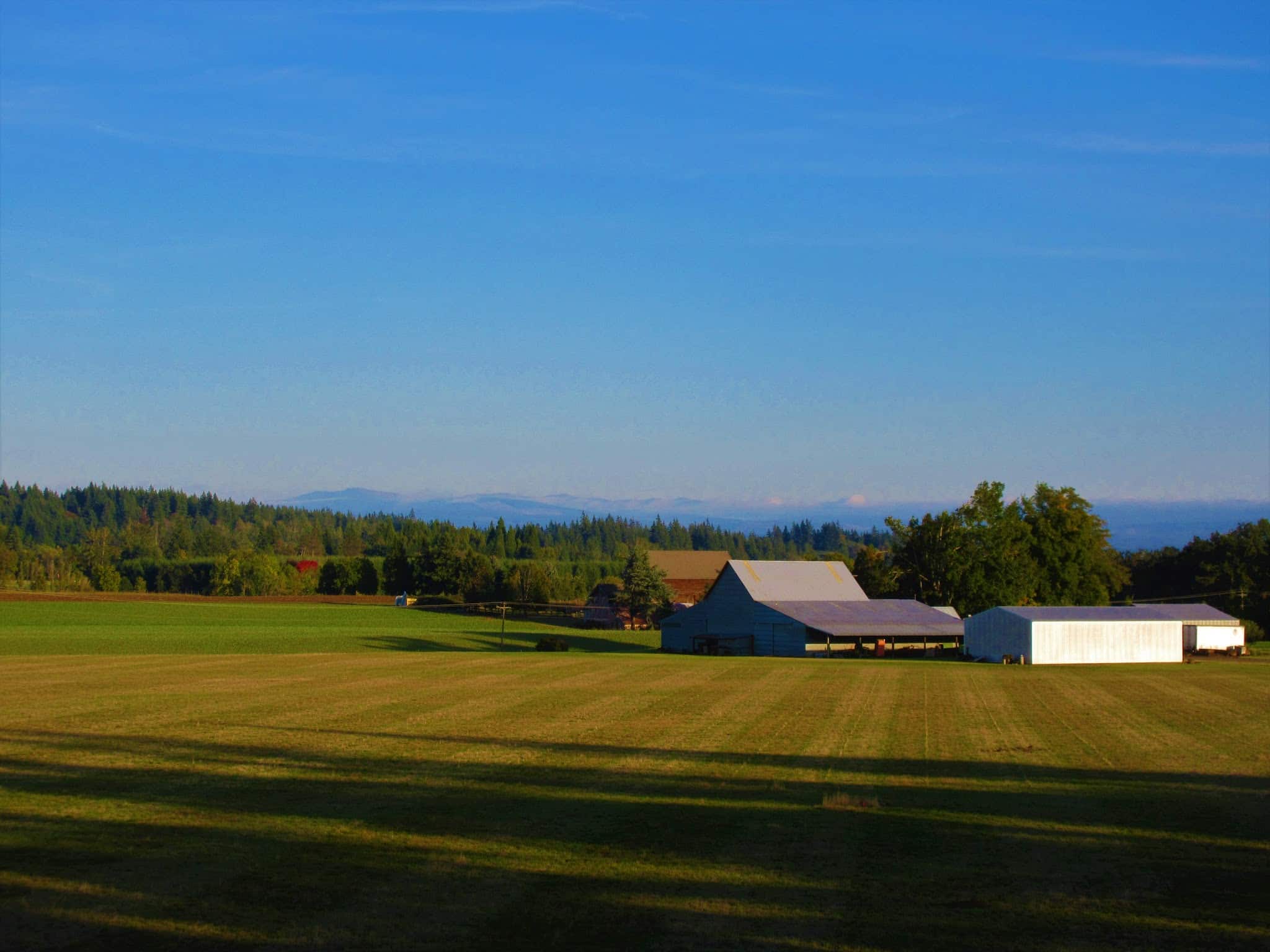Timber Park - Canby, OR