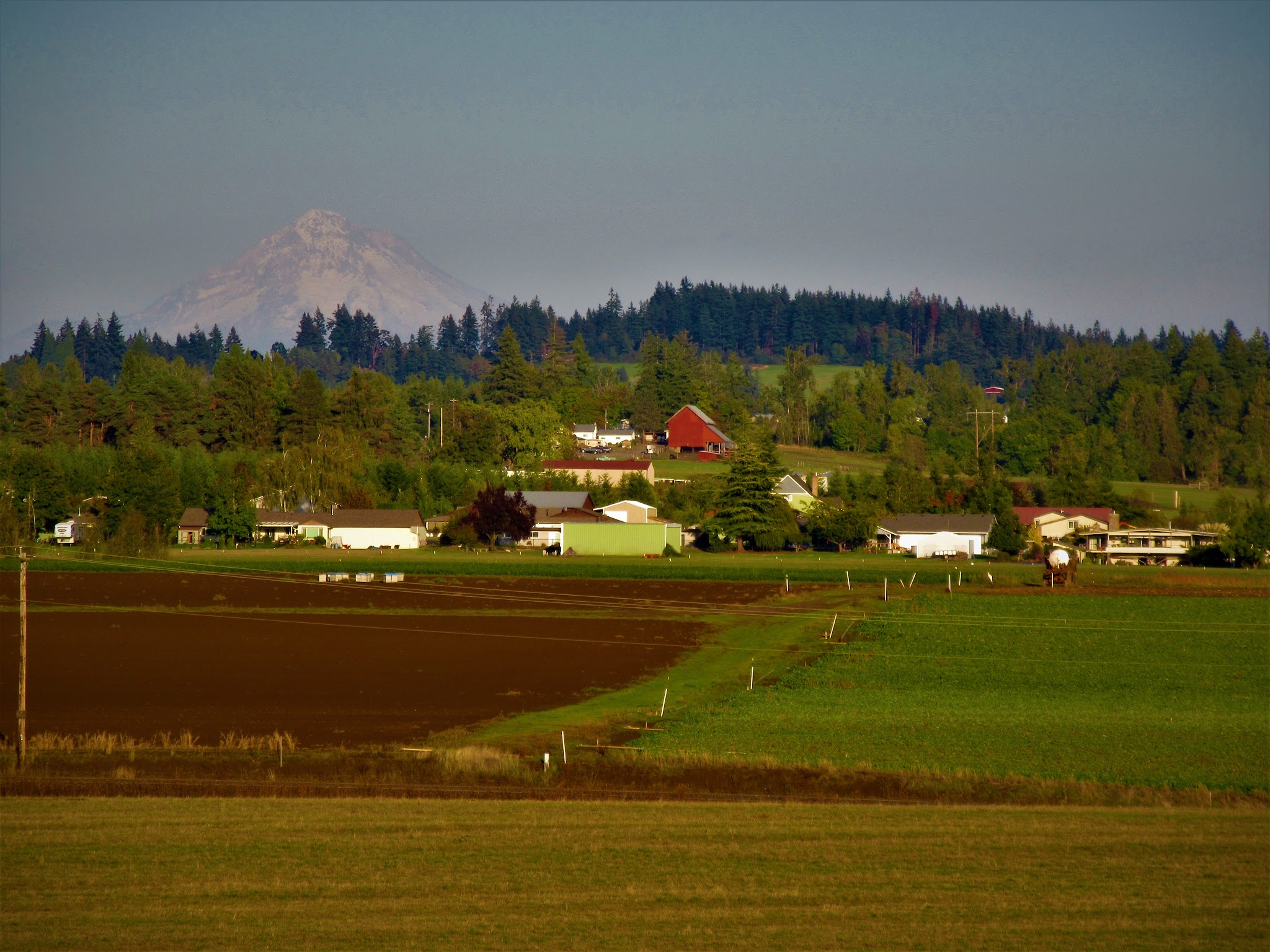 Timber Park - Canby, OR