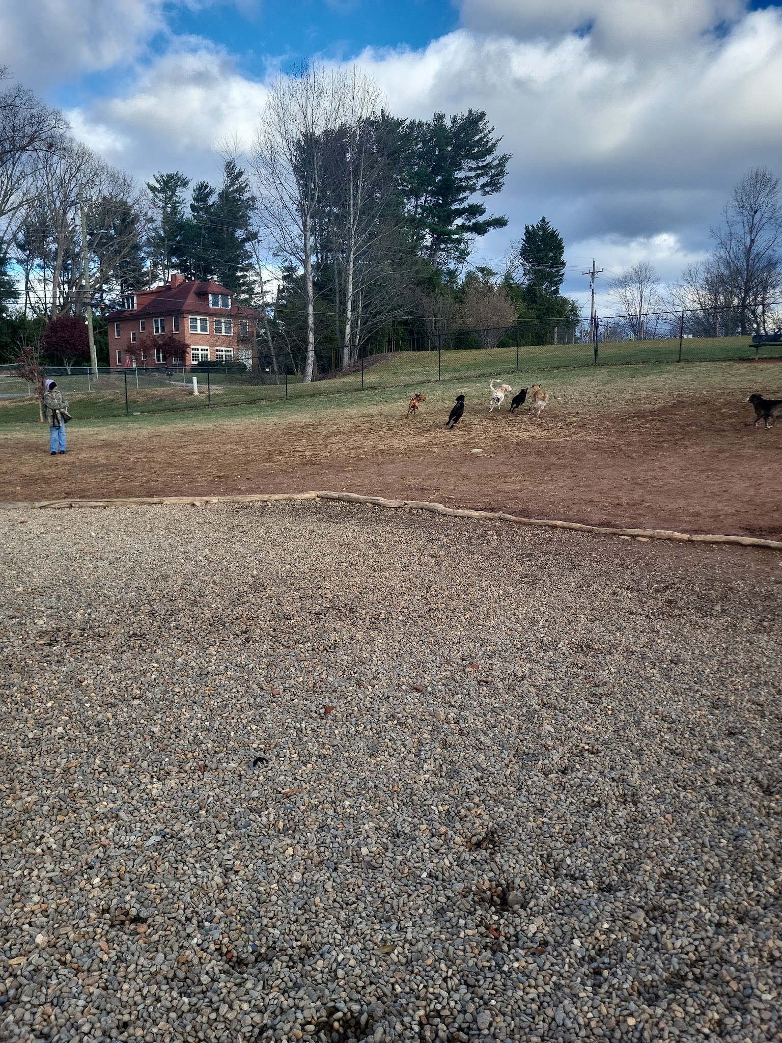 Buncombe County Dog Park - Candler, NC