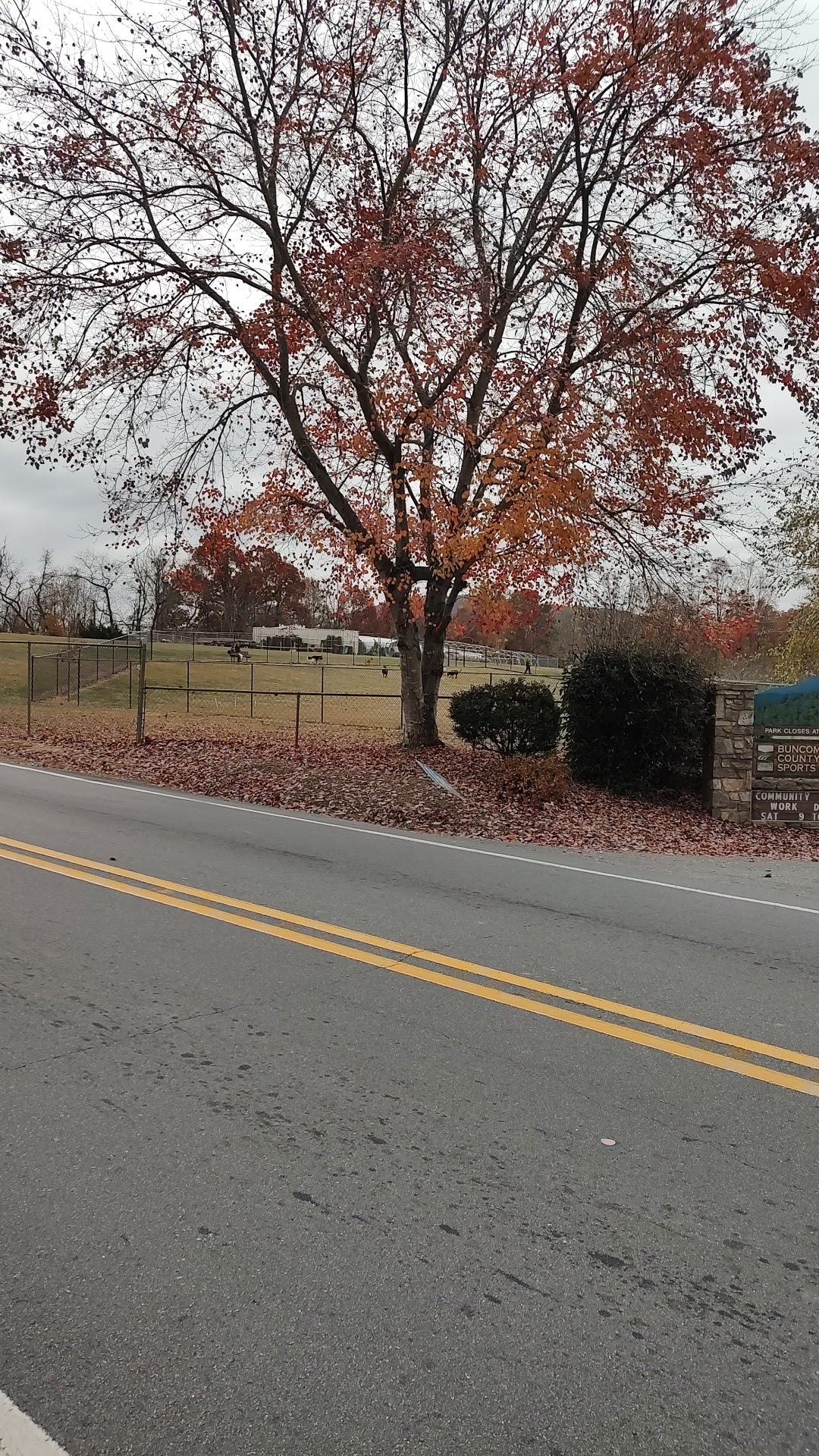 Buncombe County Dog Park - Candler, NC