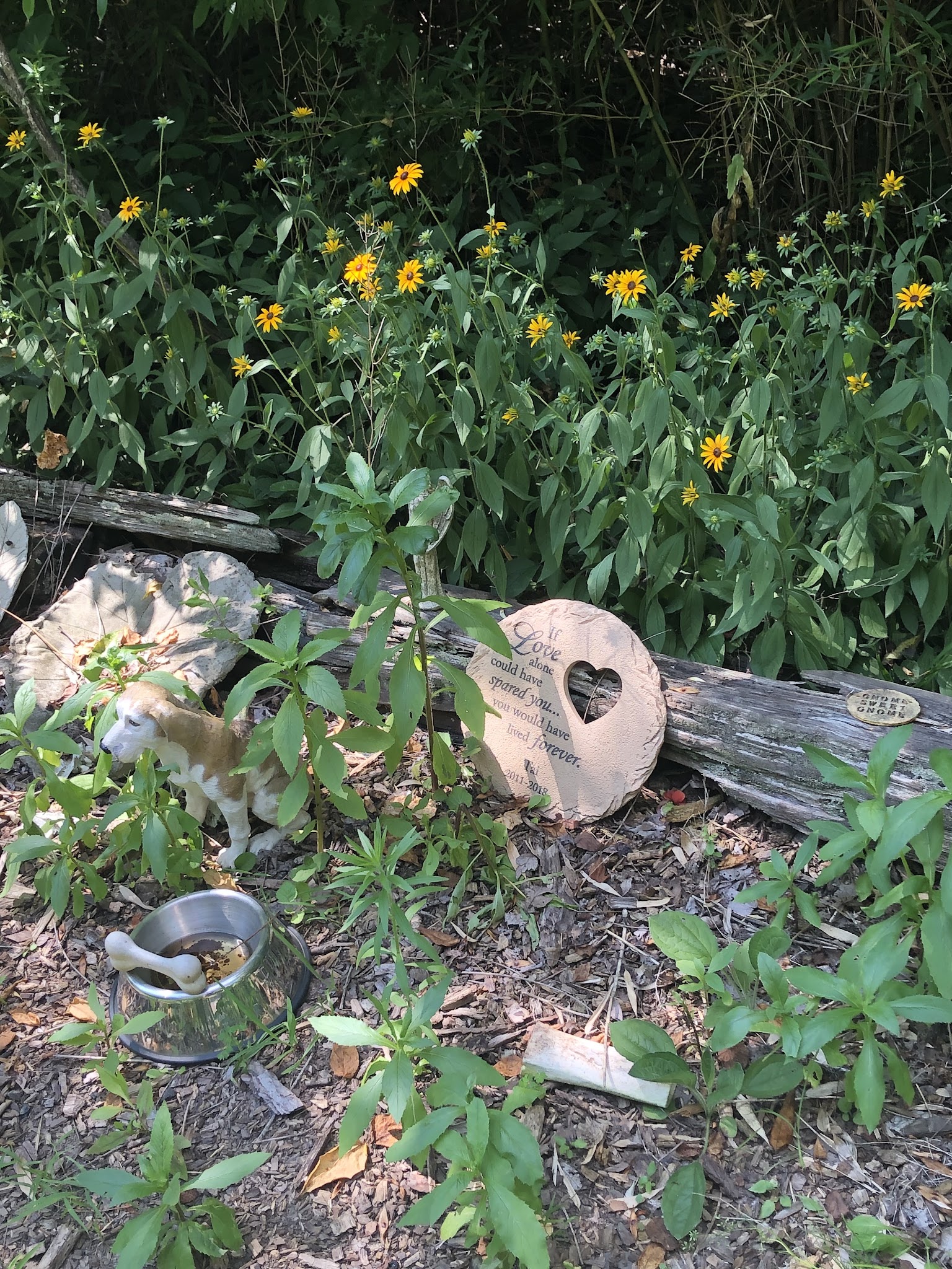 Montour Bicycle Trail, Cecil, PA - Canonsburg, PA