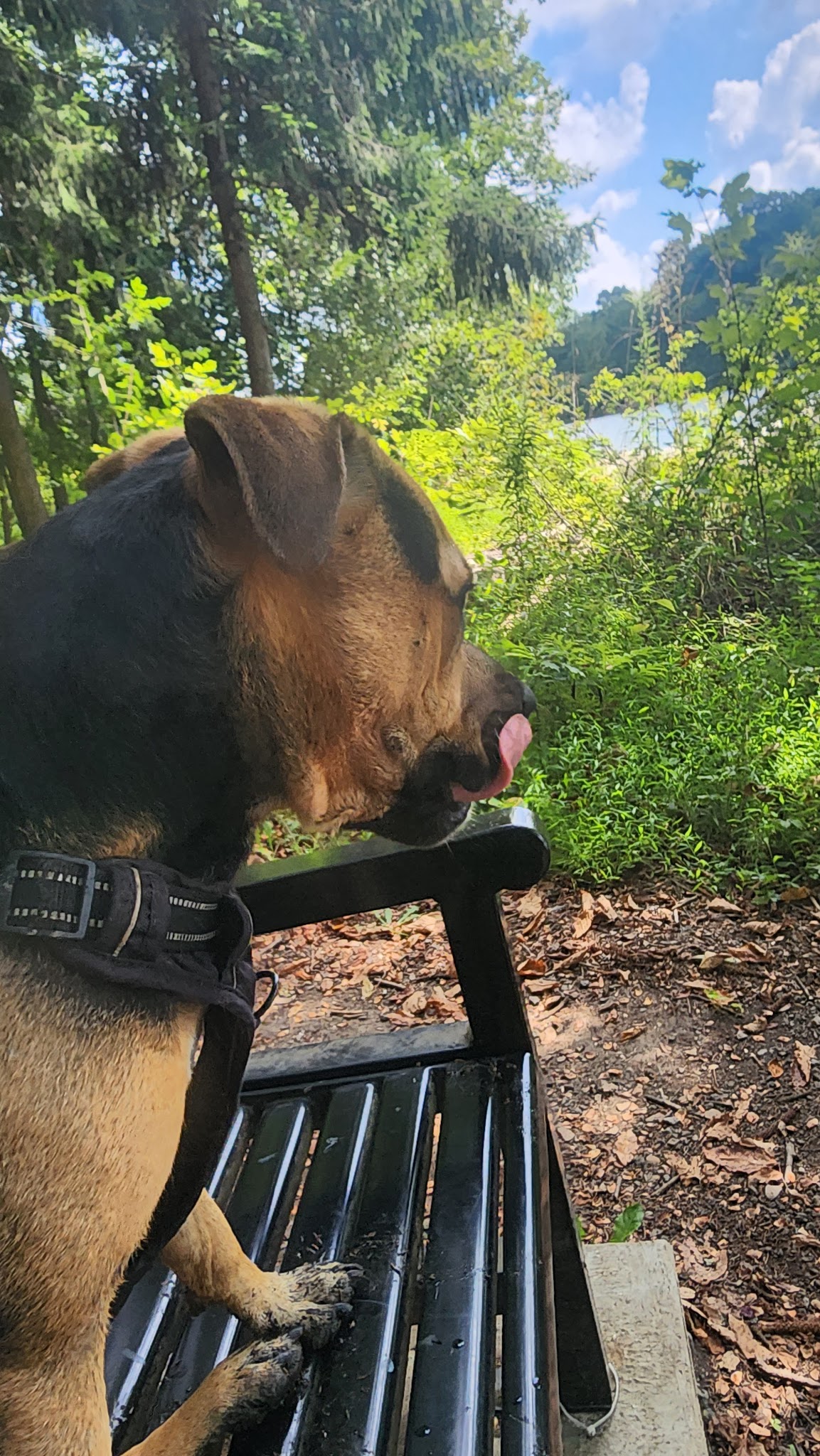 Peters Lake Spot 2 - Canonsburg, PA