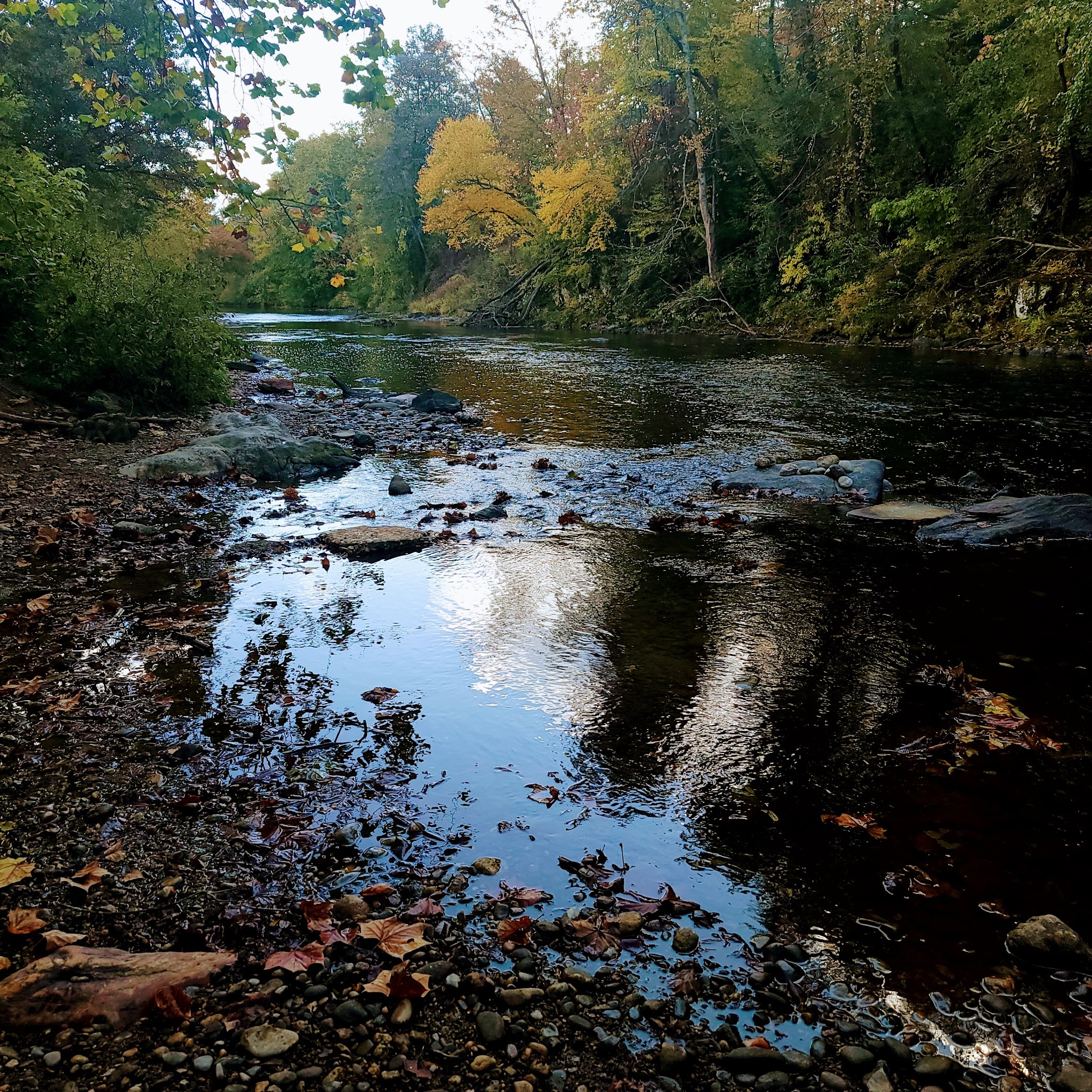 Canton Recreation Park - Canton, NC