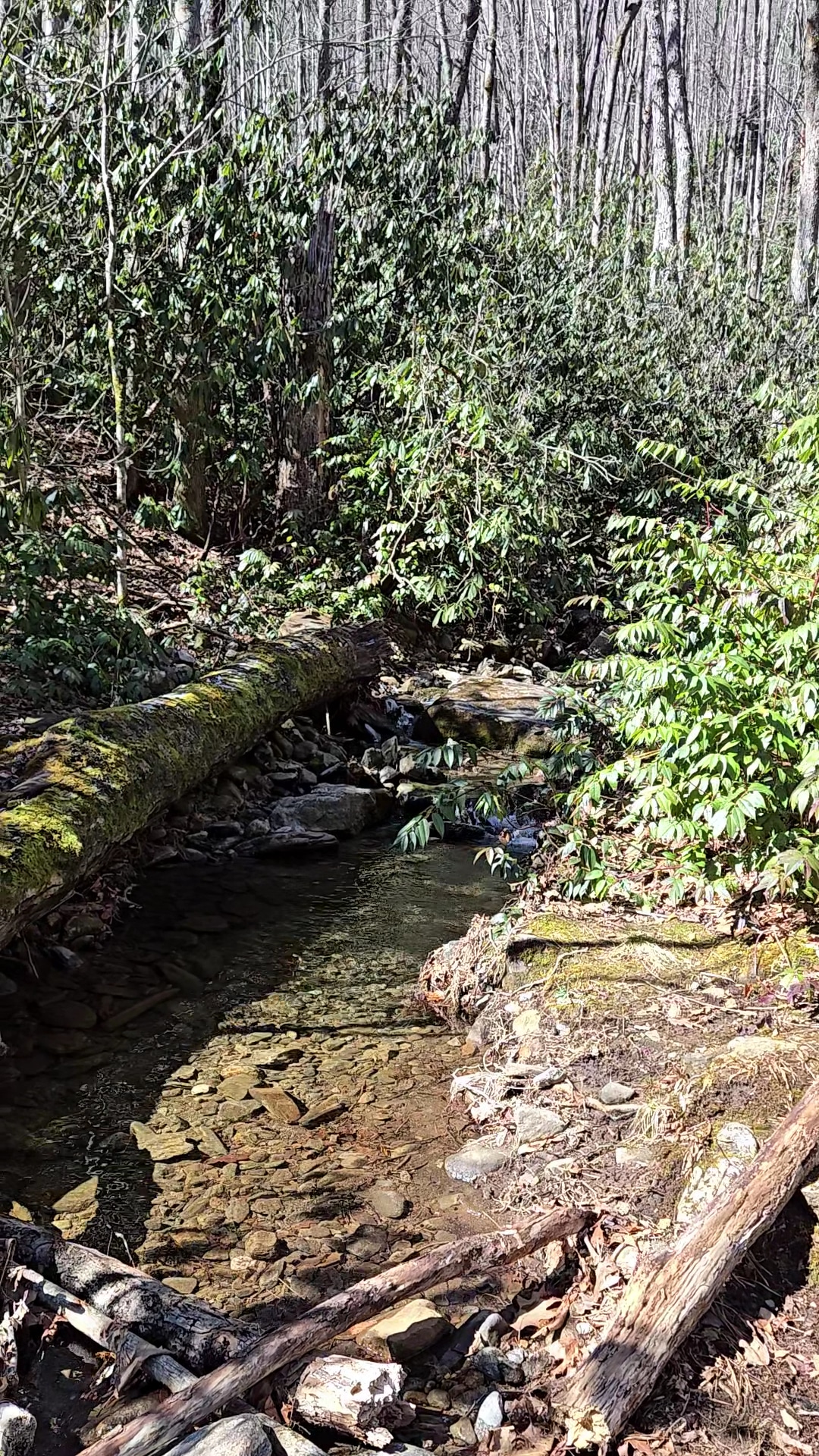 Shining Creek Path Trail Head - Canton, NC