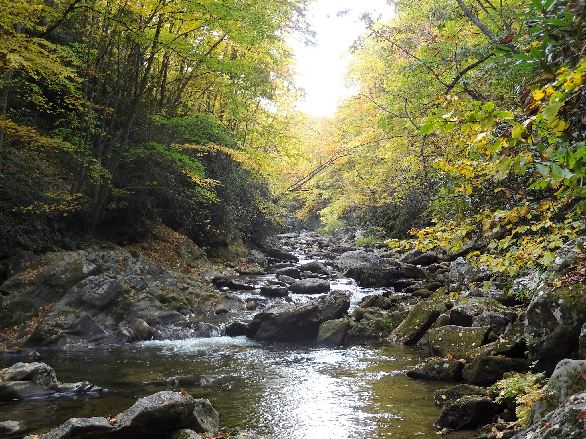 Shining Creek Path Trail Head - Canton, NC