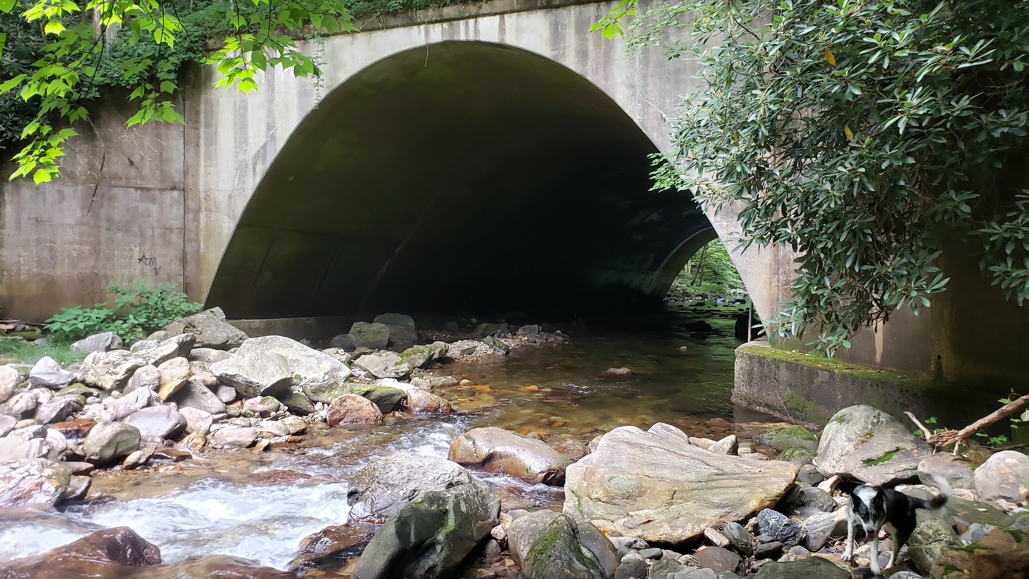 Shining Creek Path Trail Head - Canton, NC
