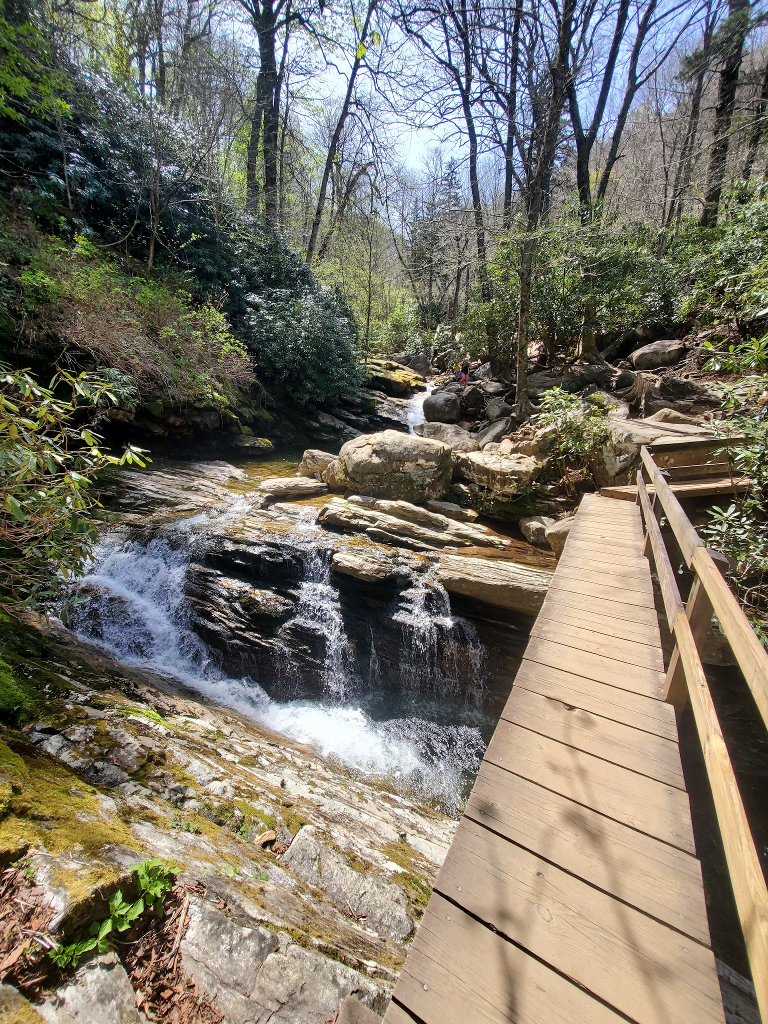 Skinny Dip Falls Trailhead - Canton, NC