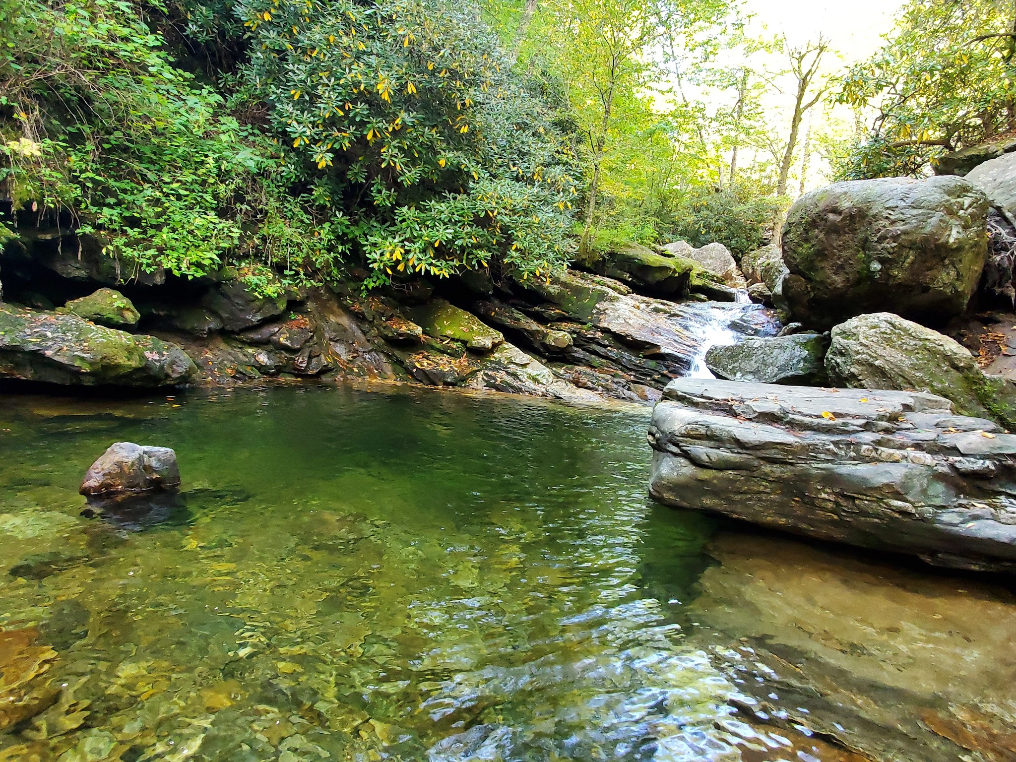 Skinny Dip Falls Trailhead - Canton, NC