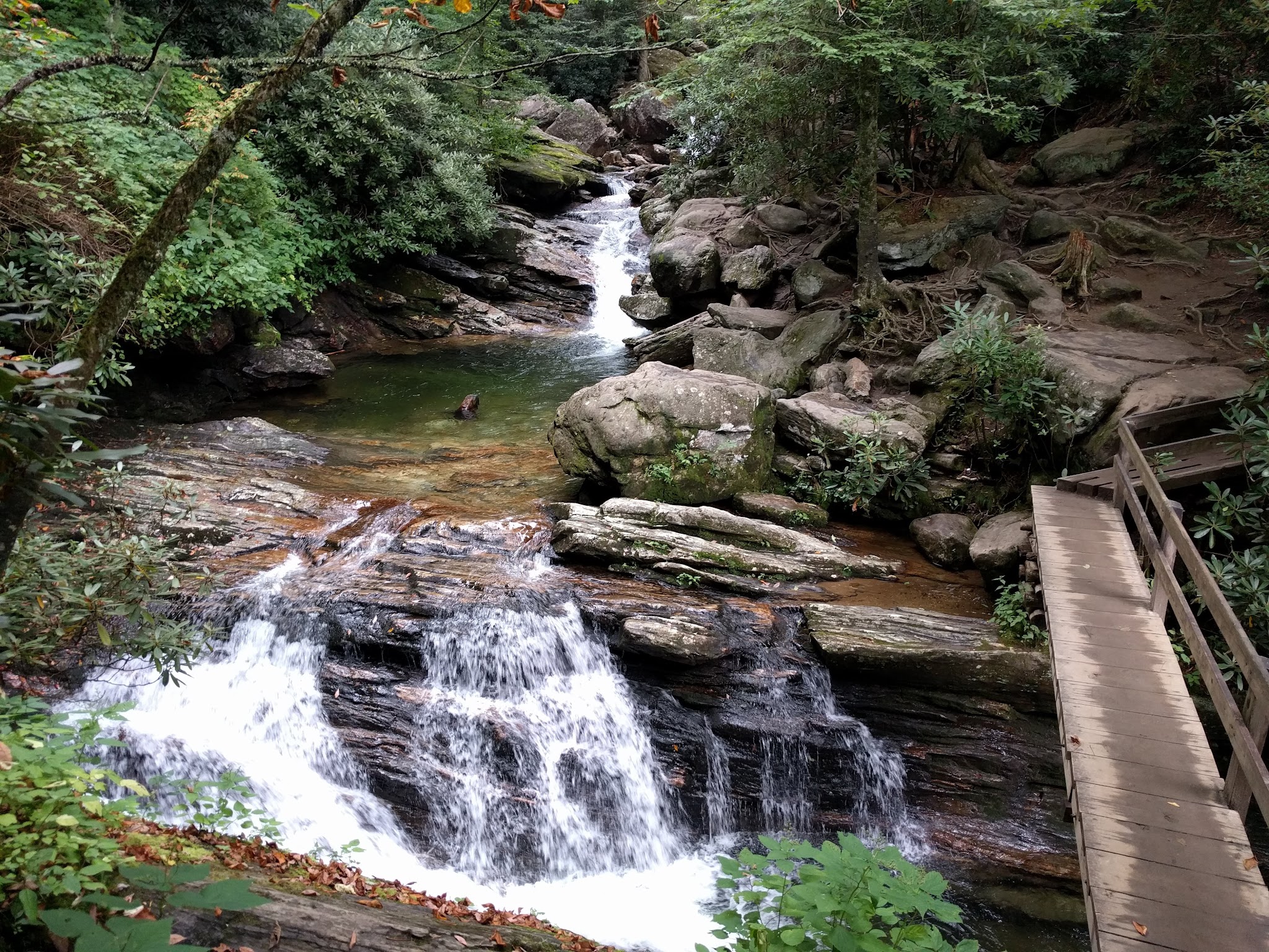 Skinny Dip Falls Trailhead - Canton, NC