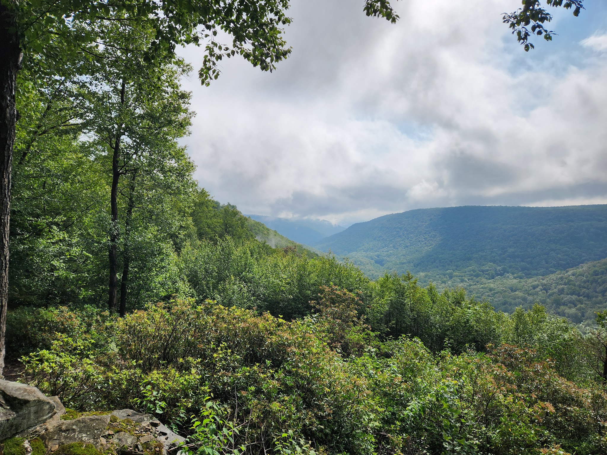 Old Loggers Path - Canton, PA