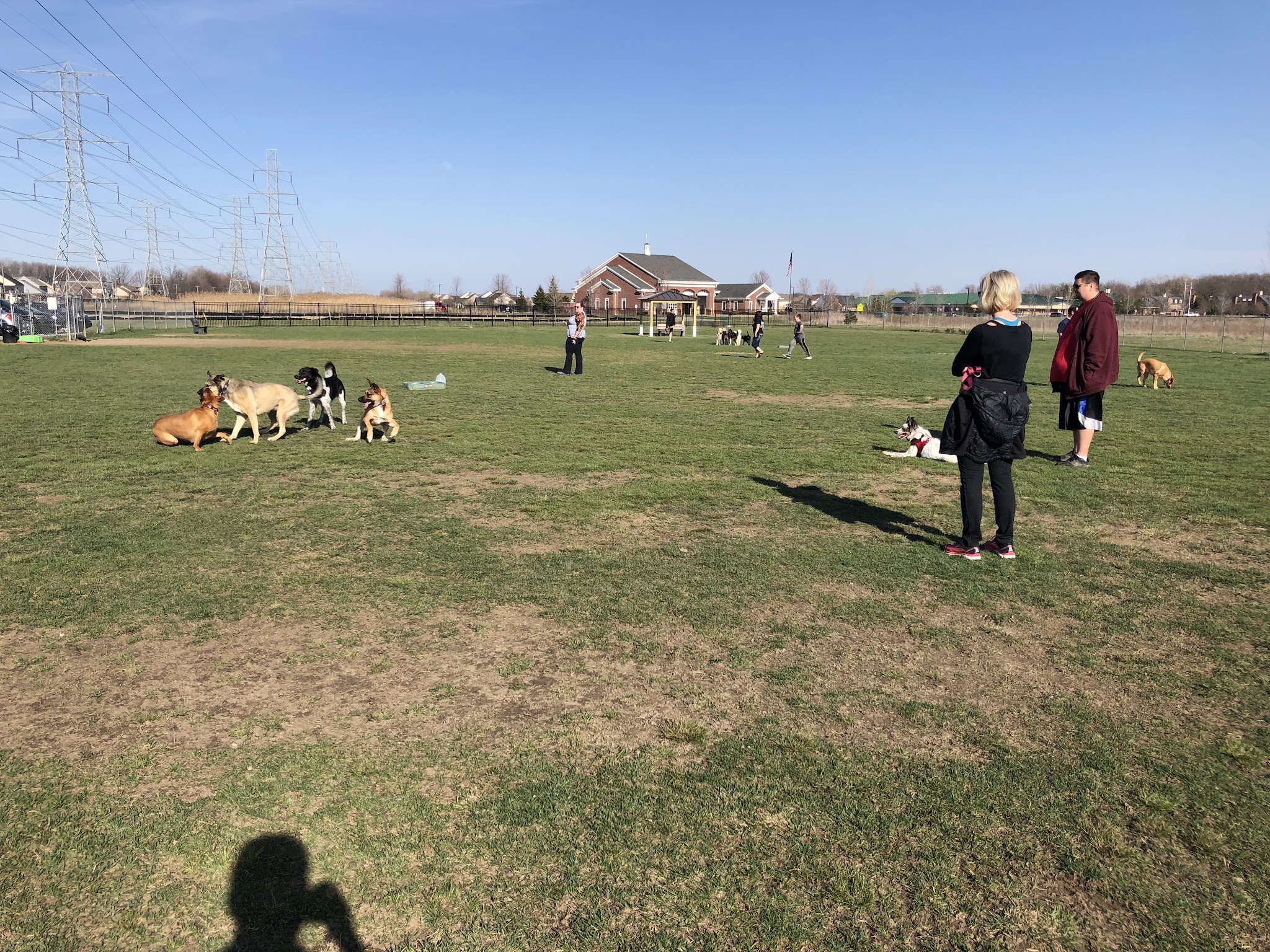 Canton Dog Park - Canton Township, MI