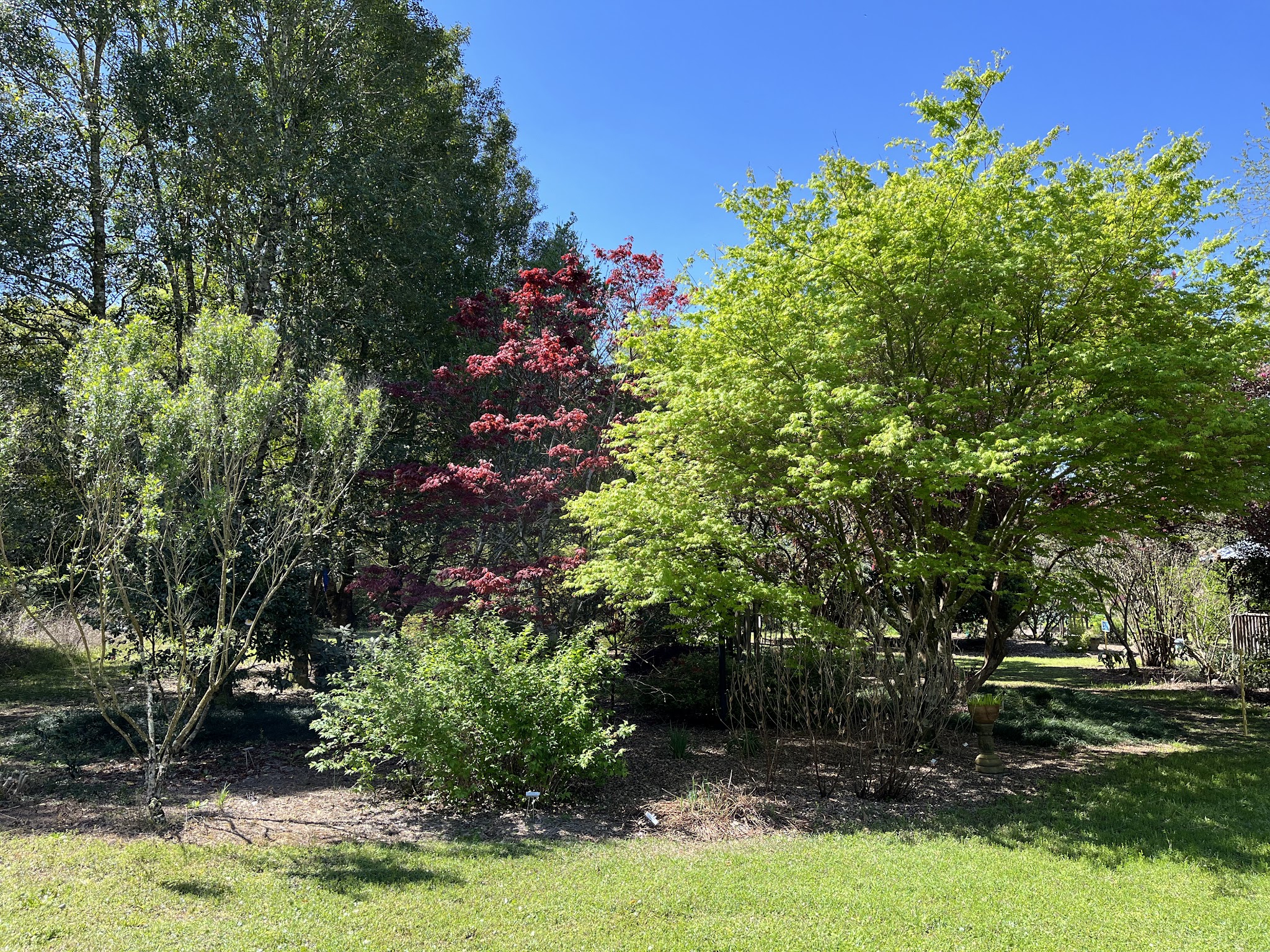 Escambia Extension park - Cantonment, FL