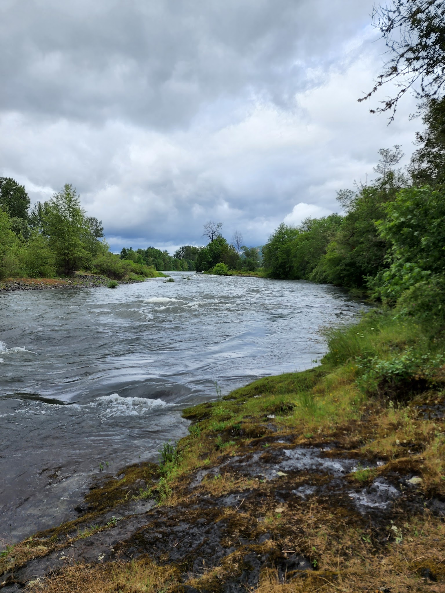 Pickett Park - Canyonville, OR