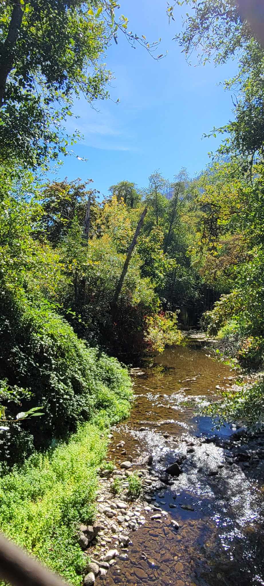 Pioneer Park - Canyonville, OR