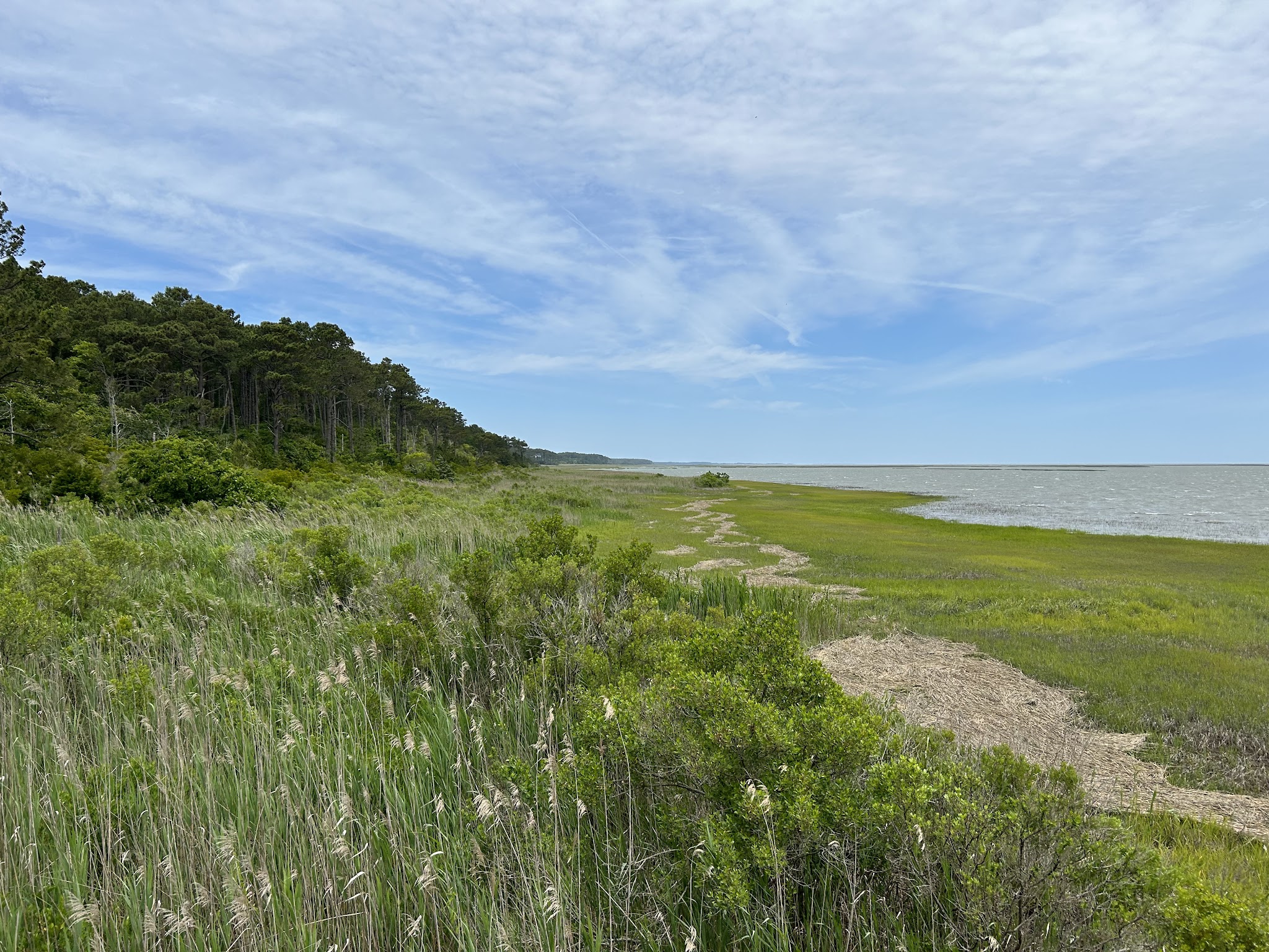 Edward S. Brinkley Nature Preserve - Cape Charles, VA