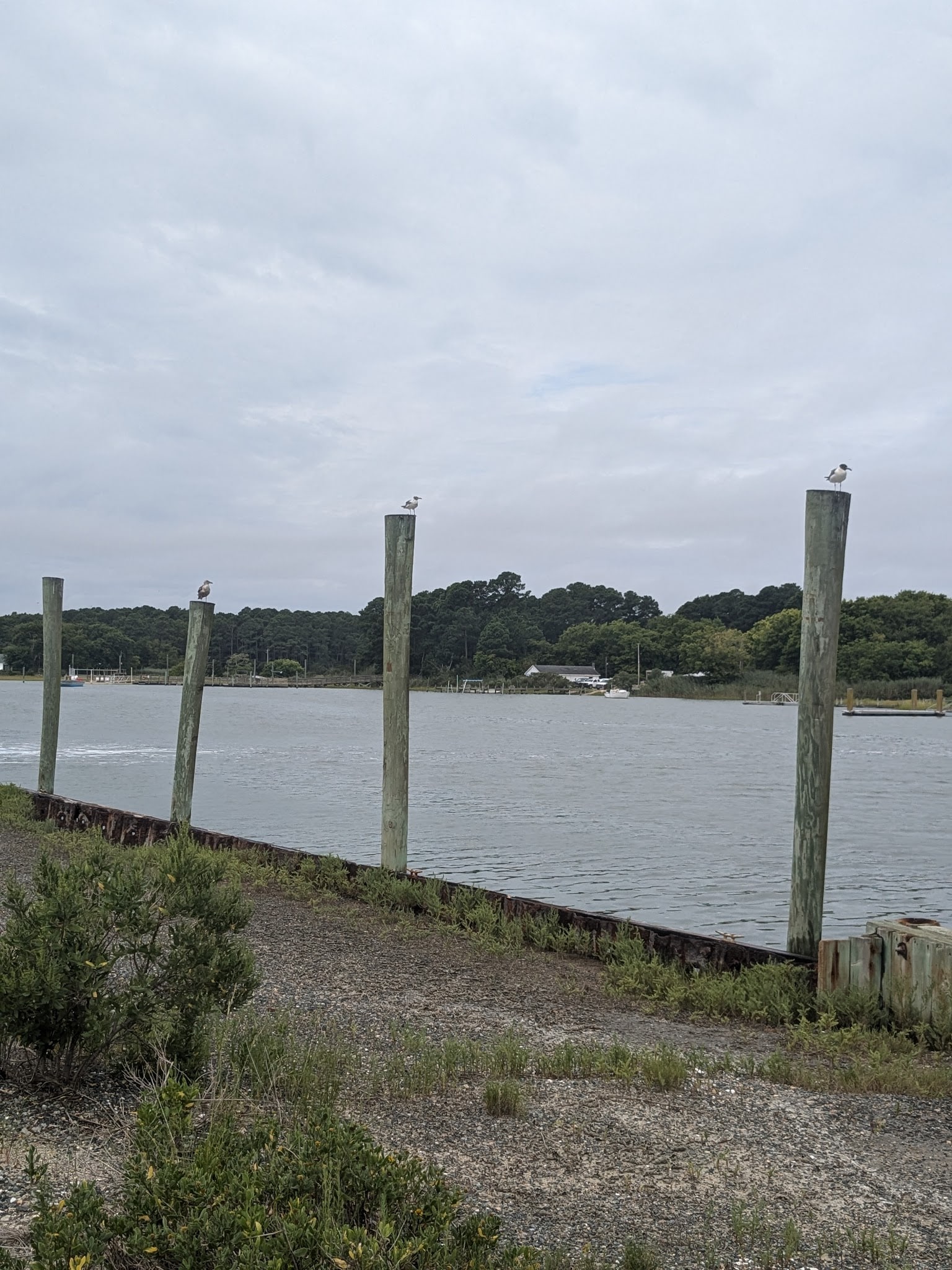 Oyster Village Horse Island Trail - Cape Charles, VA