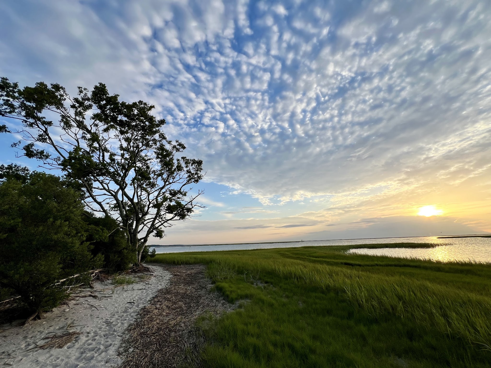 Oyster Village Horse Island Trail - Cape Charles, VA