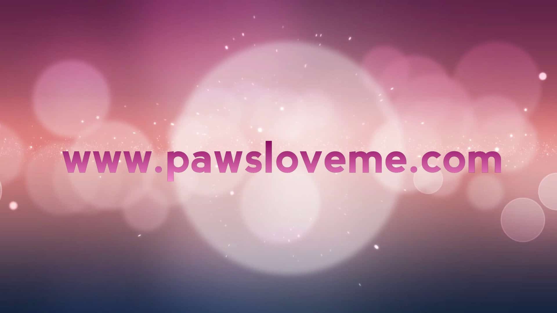 Paws Love Me - Cape Charles, VA