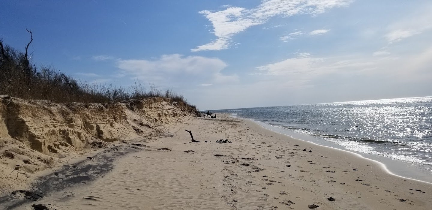 Savage Neck Dunes Natural Area Preserve - Cape Charles, VA